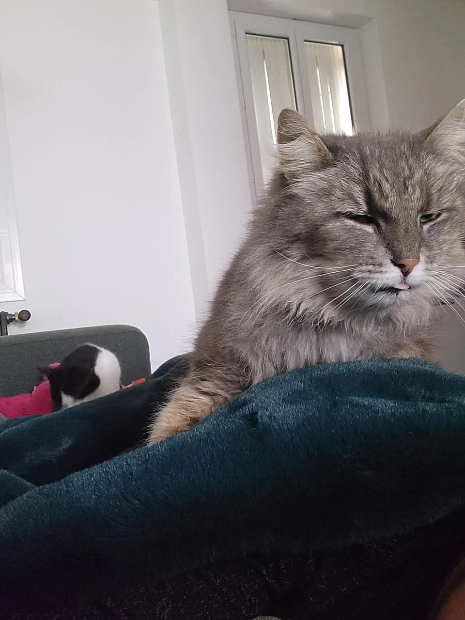 Léon - Rue De Pornichet, Saint-Nazaire