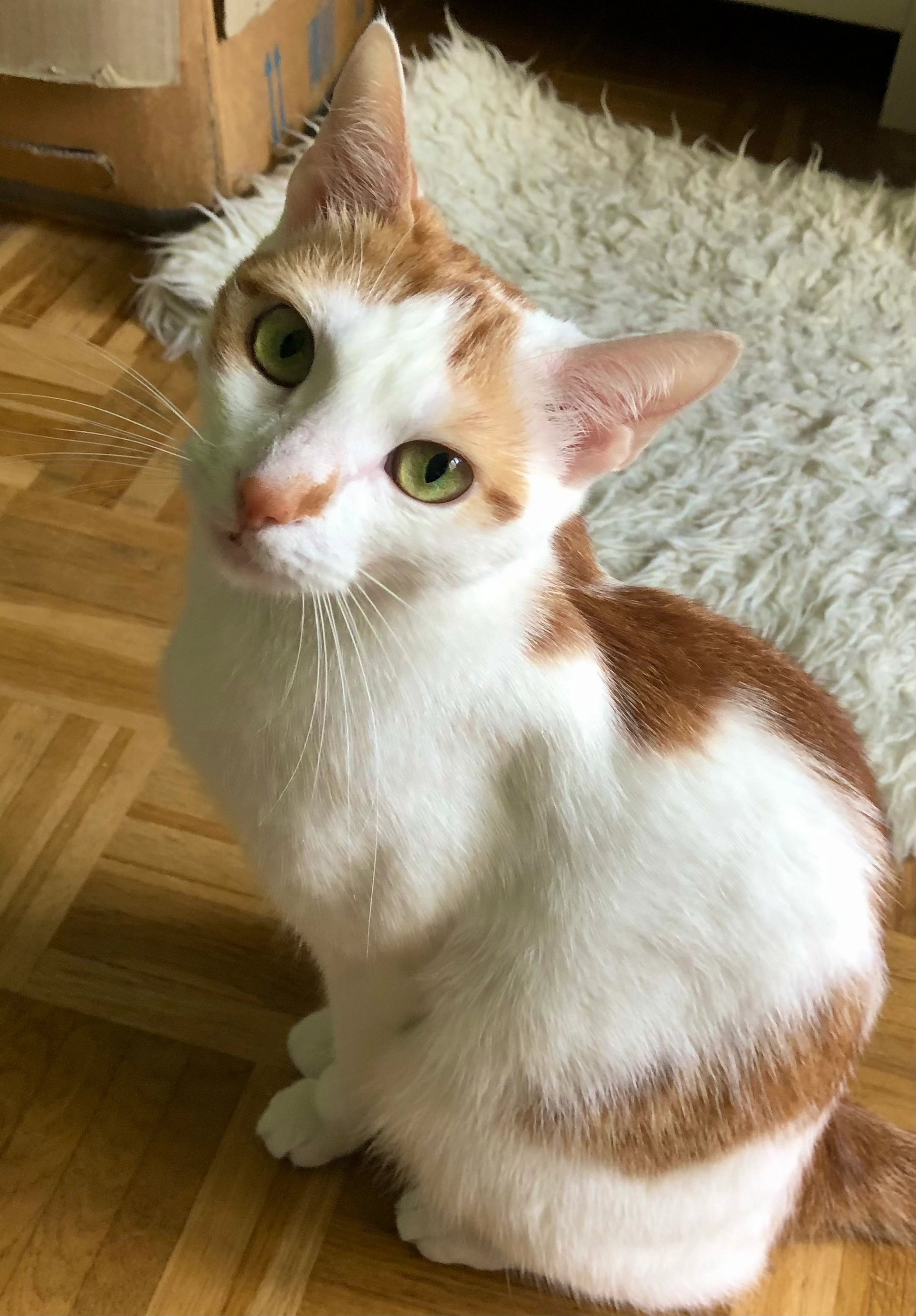 Maunzi - Tegelbergstraße, München