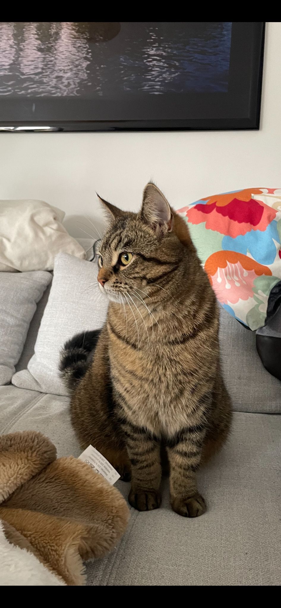 Caja - Am Katswall, Sanitz