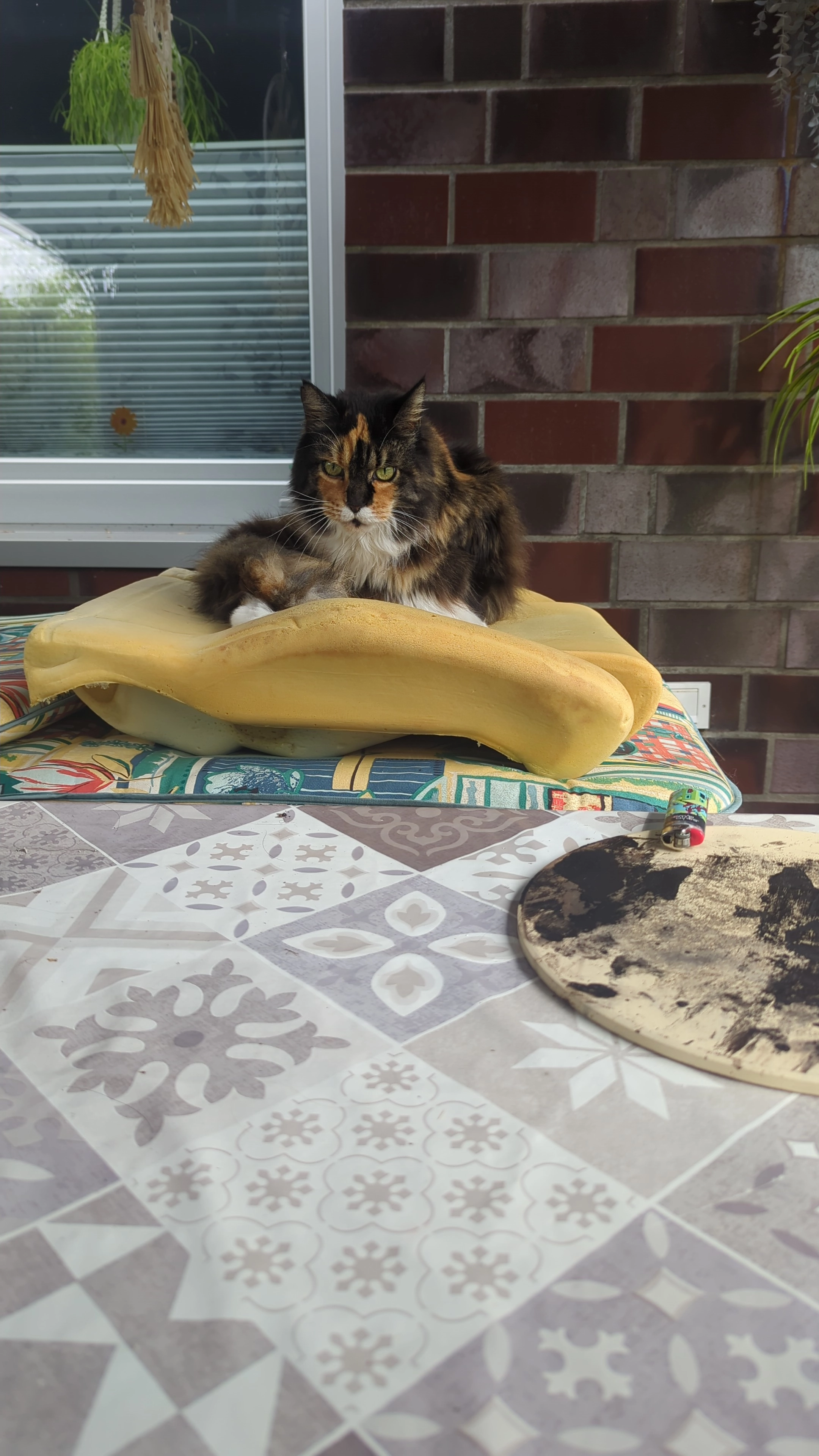 Mira - Hagebuttenweg, Himmelpforten