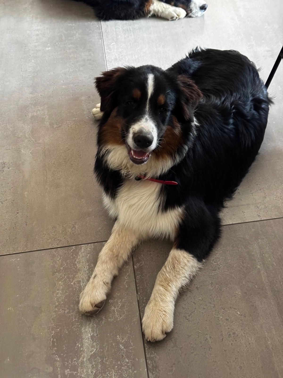 Vegas et vasko - Chemin La Grande Carraire, Gréasque