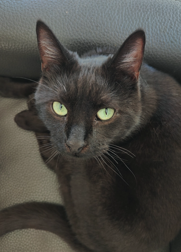 Taco - Oude Hoogweg 90, Brugge