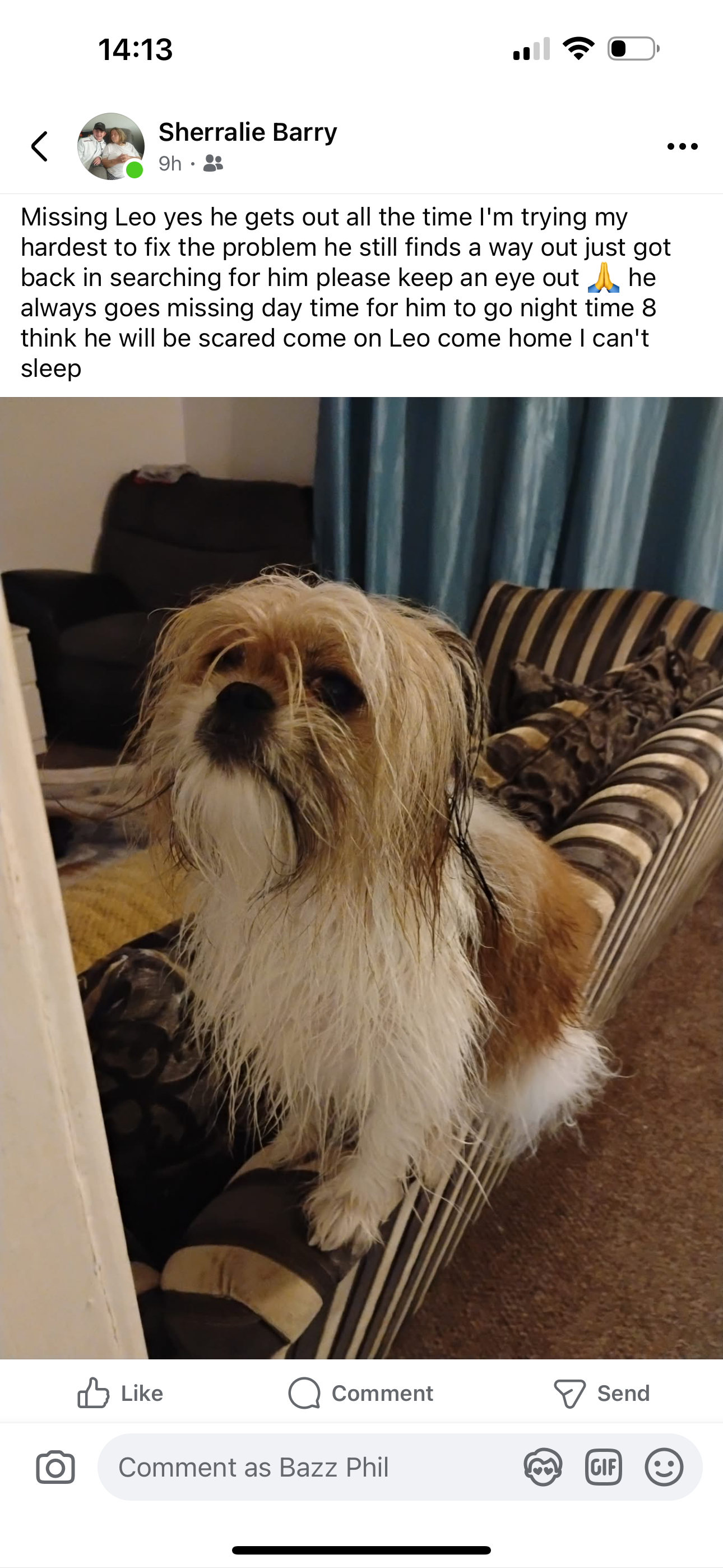 Leo - Kewstoke Road, Bath