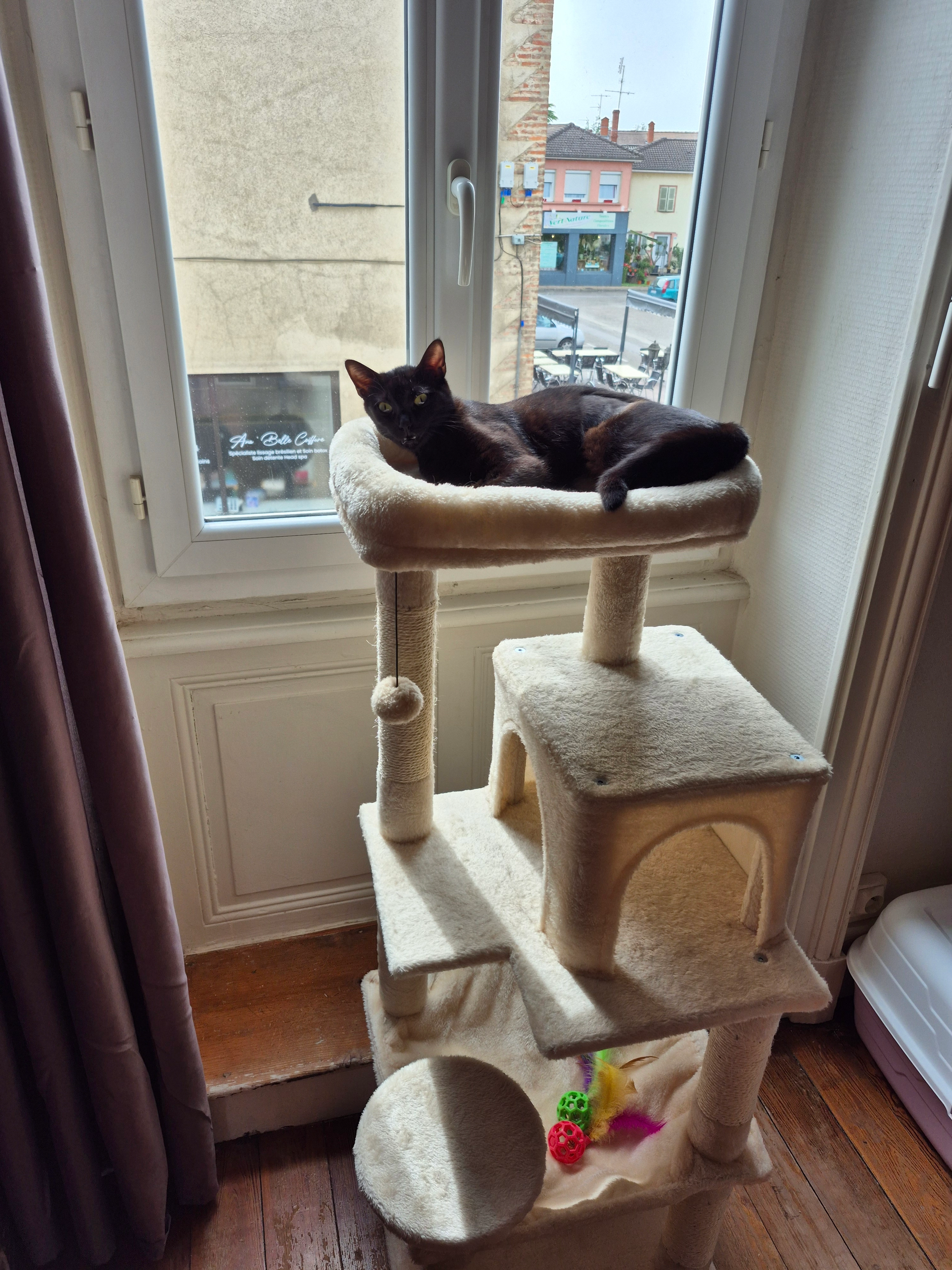 Lilou  - 53 Rue du 19 Mars 1962, Vonnas