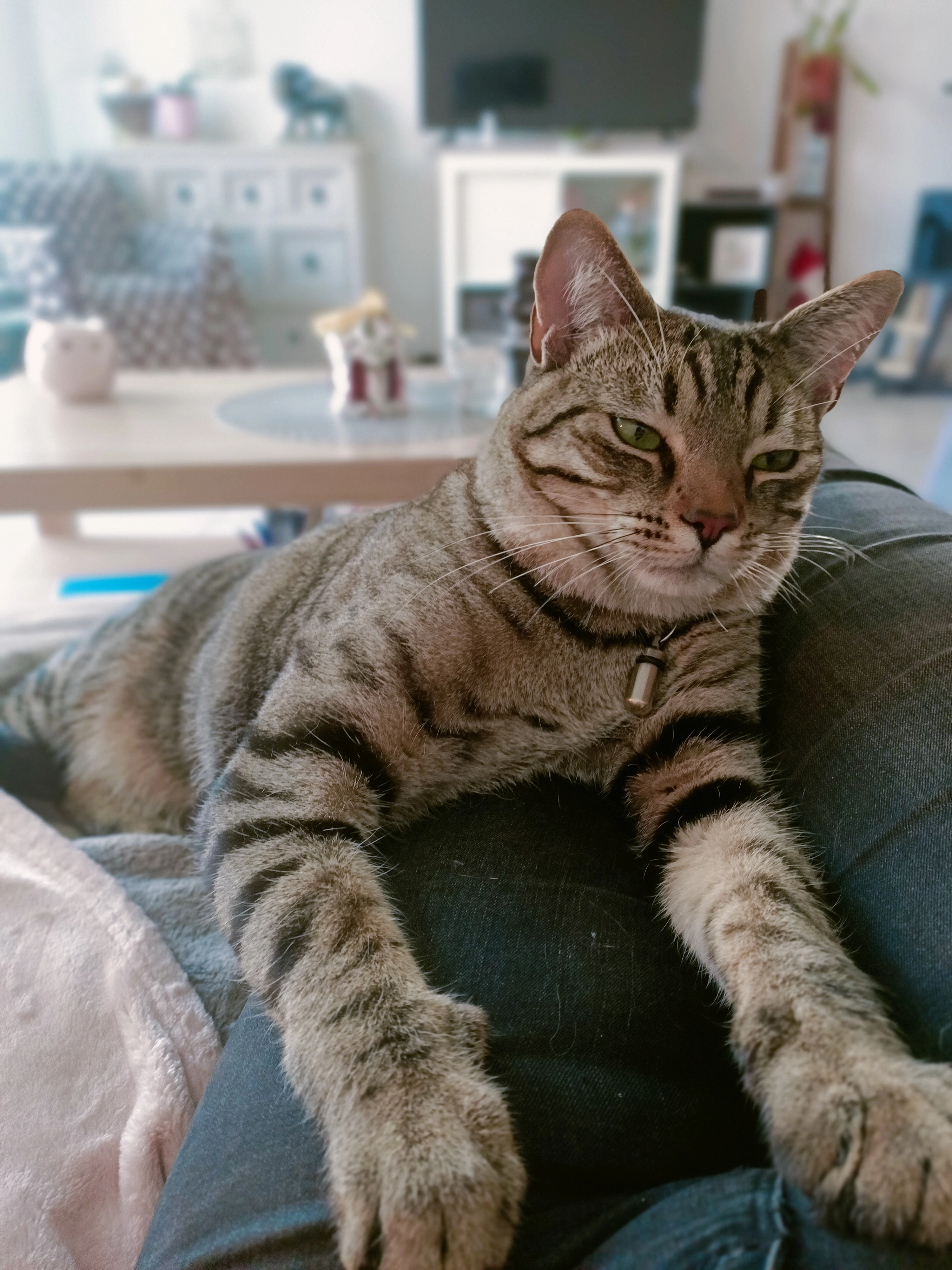 Yaourt  - Rue Maurice André, Saint-Privat-des-Vieux