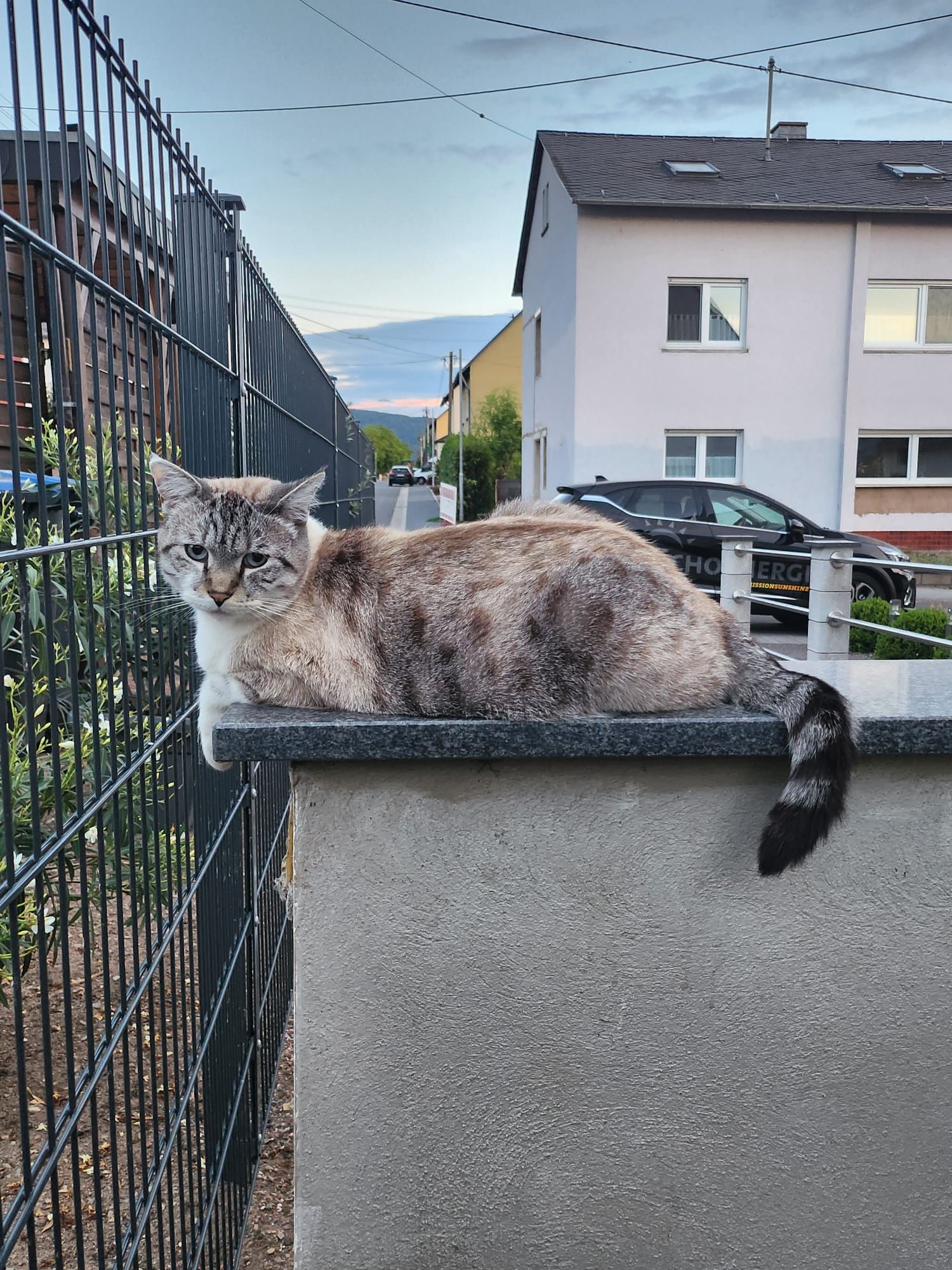 Sky - Neugartenstraße, Detzem