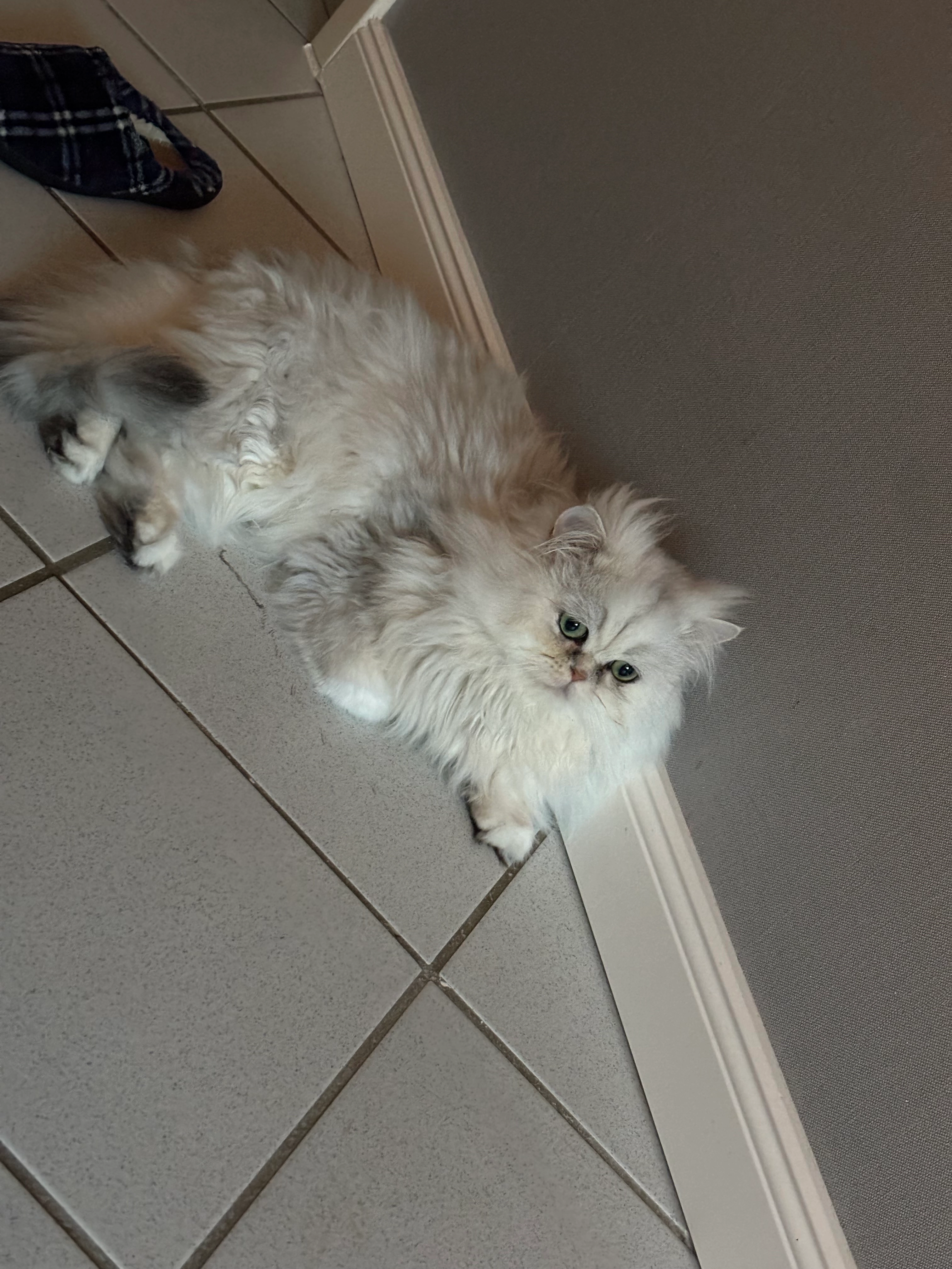 Mimo  - Zum Hartwedel, Bothel