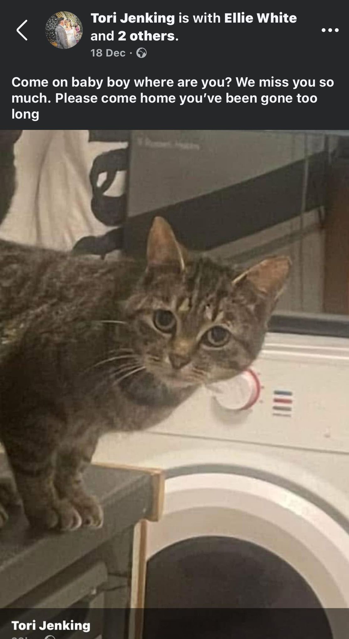 Dennis - Tregothnan Road, Truro