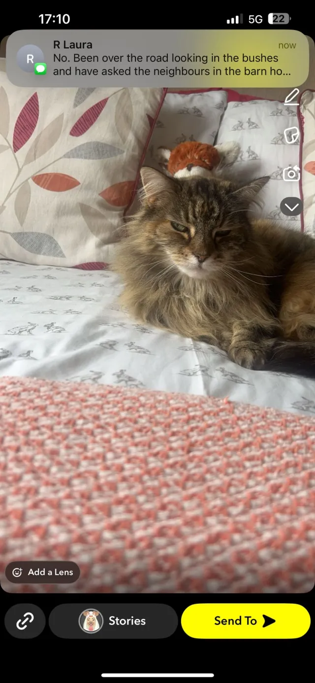 Rosie - S72 8, Barnsley