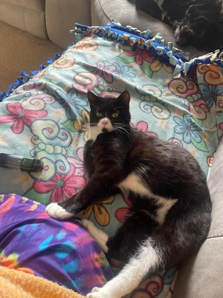 Fran - YO17 6RH, Malton