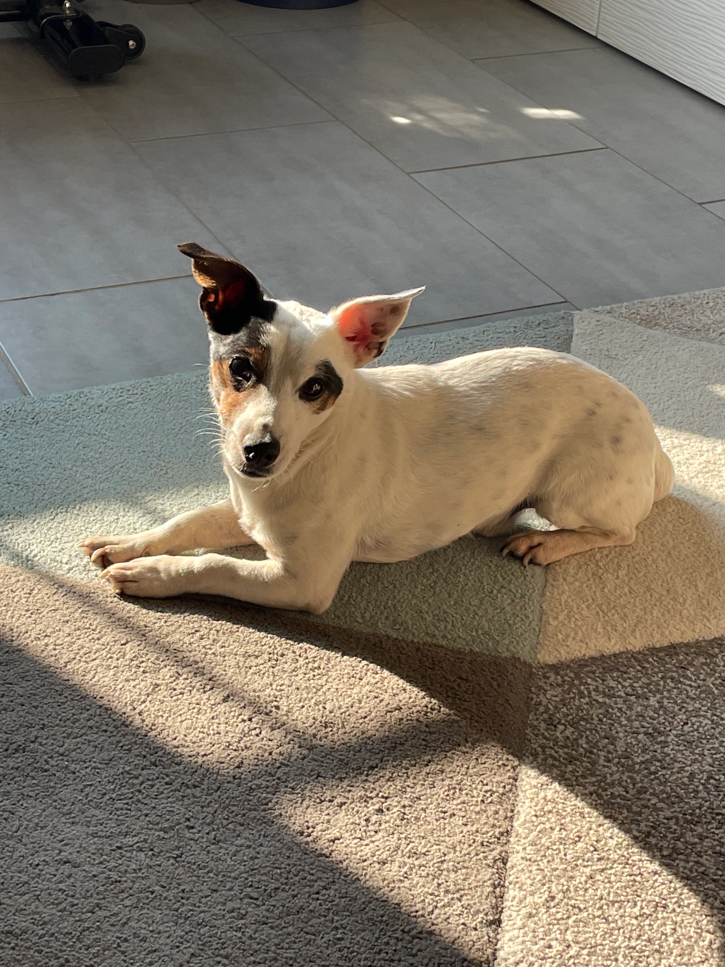 Snow - Route de Condrieu, Clonas-sur-Varèze