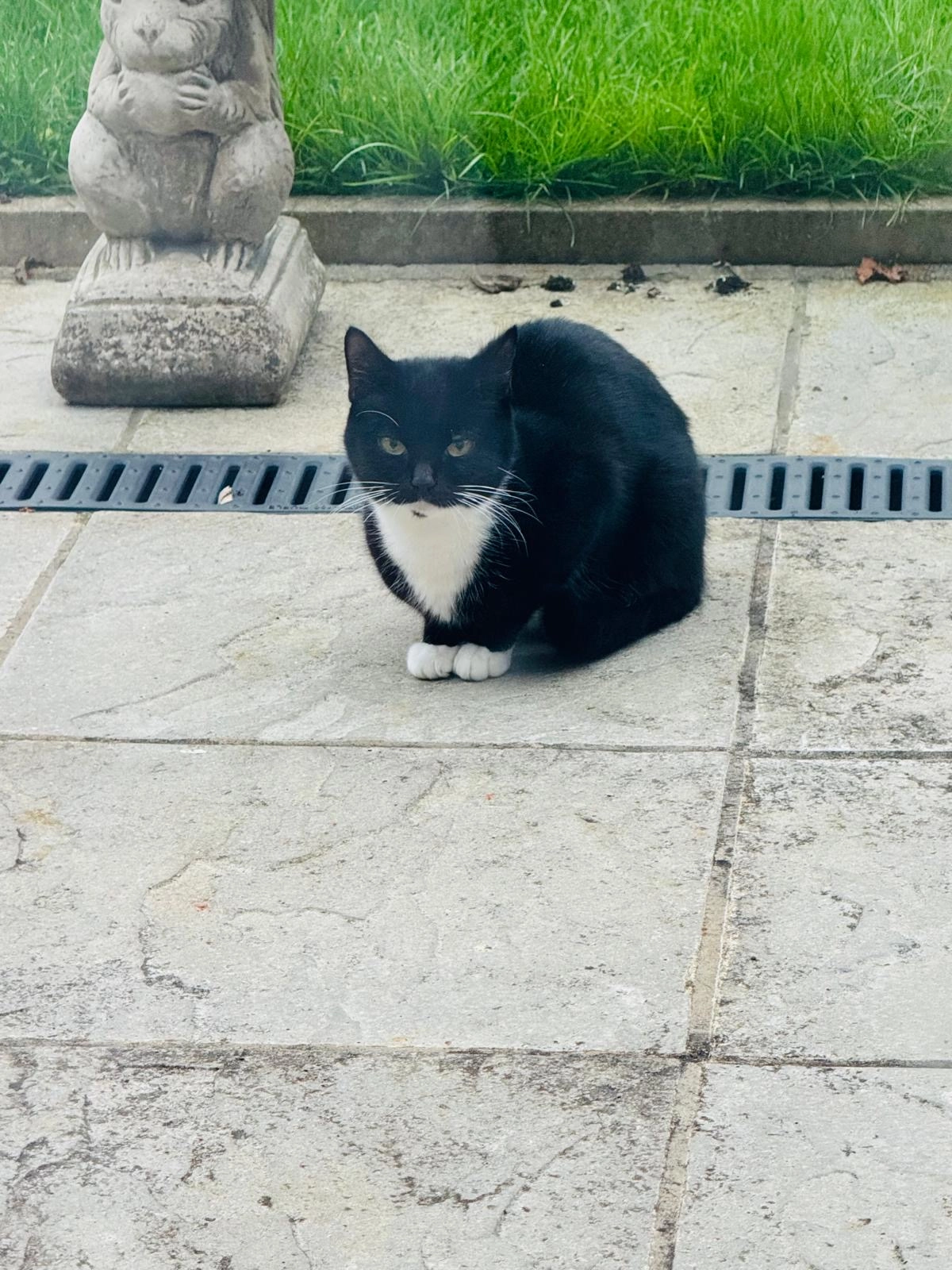 Kiki - Hunters Grove, Harrow