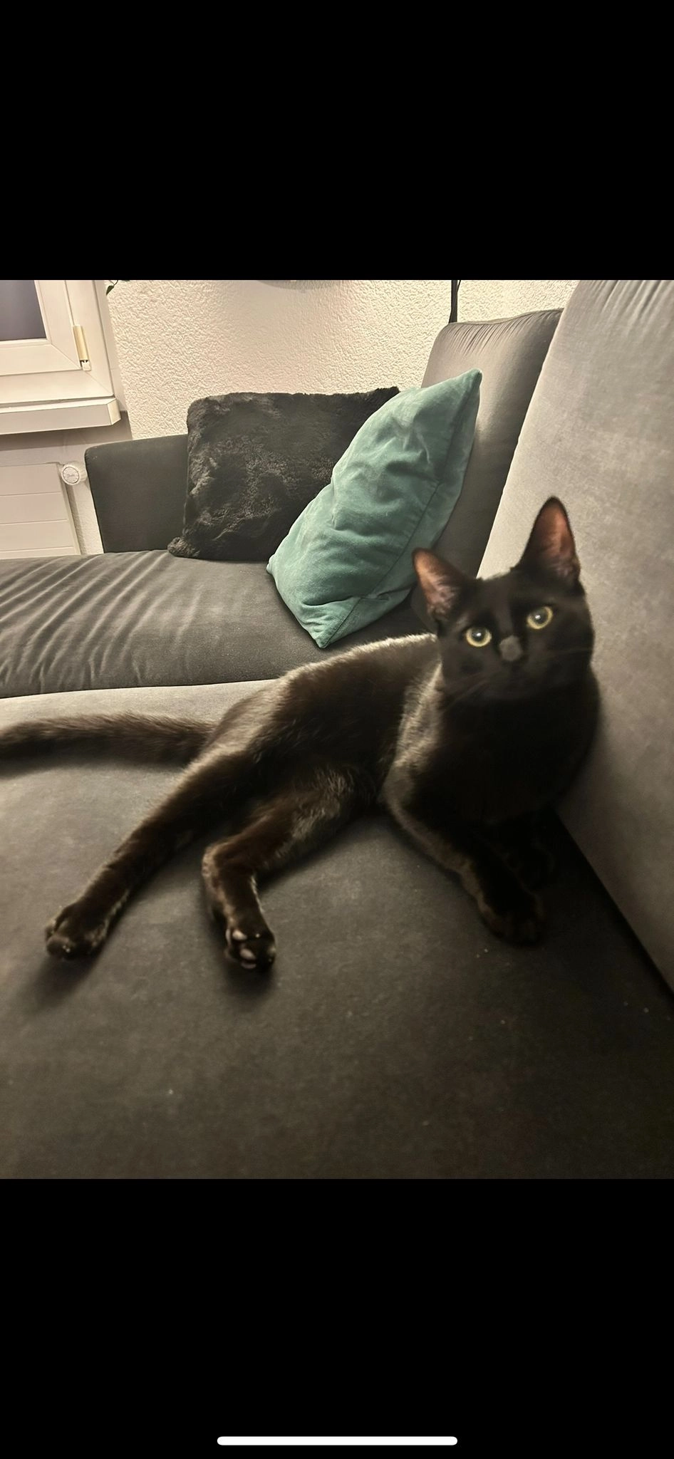 momo - Antoniusstrasse, St. Gallen