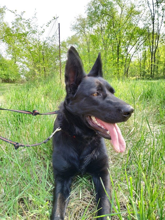 Eve - Strada Costa, Ghedi