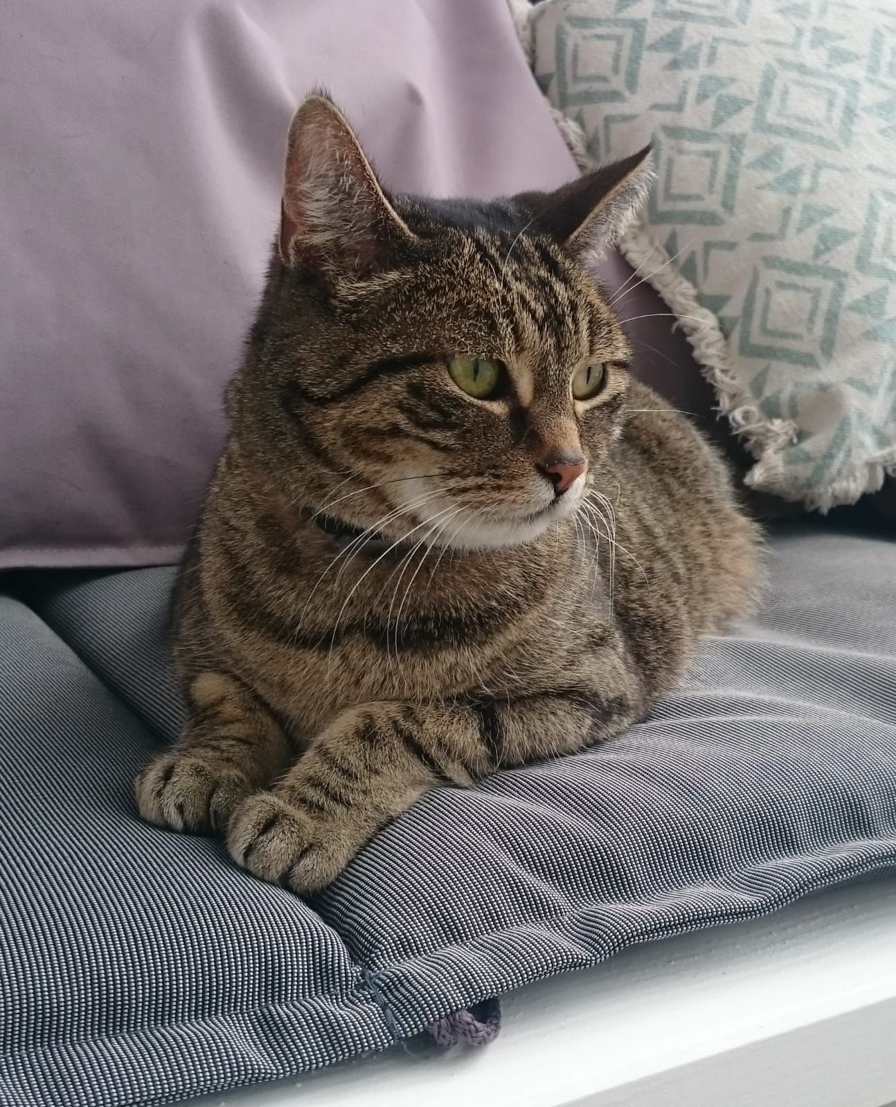 Baileys - Vogtengasse, Wittislingen