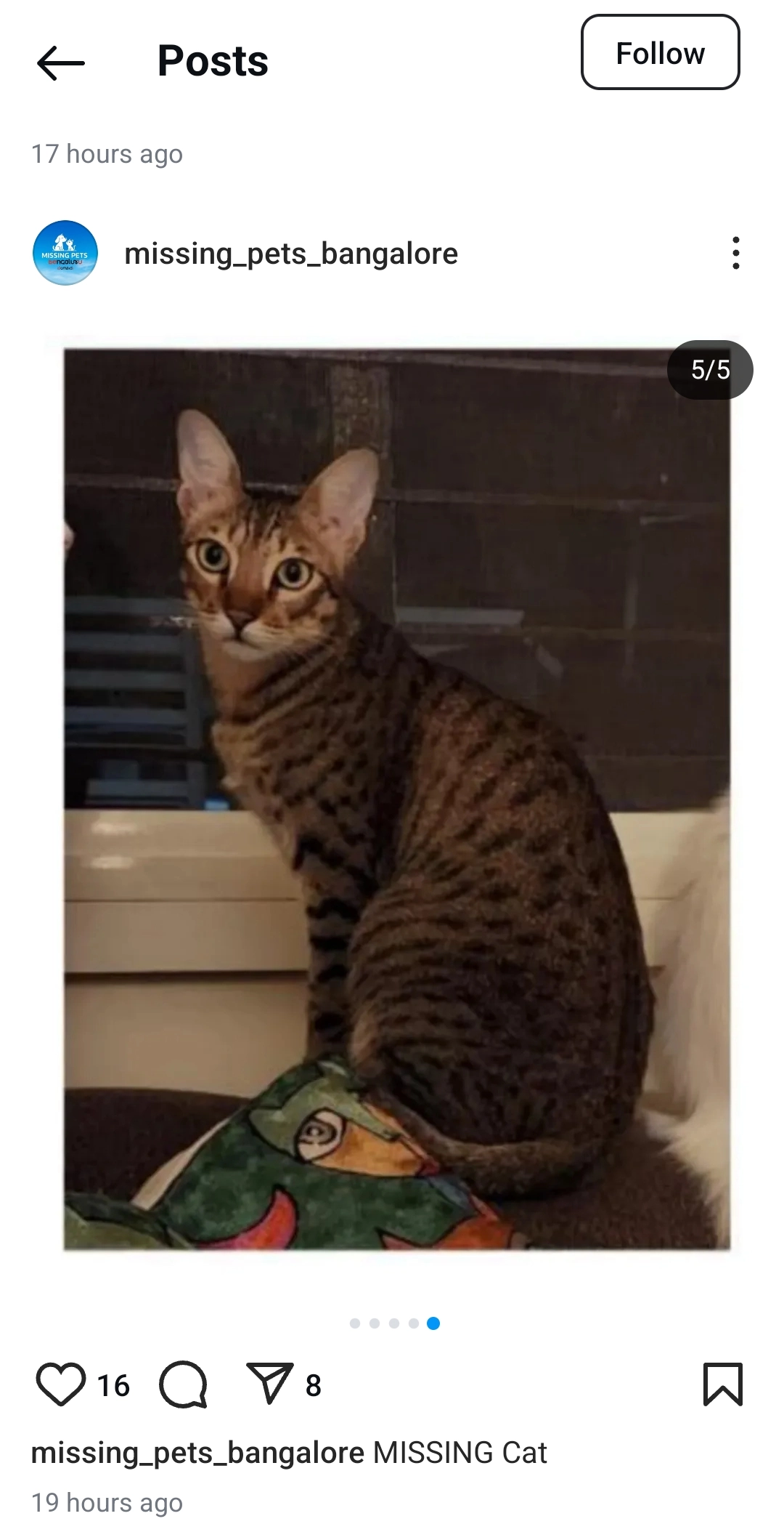 Neo - 4th Cross Road 2nd Main Road defence colony Indiranagar , Bengaluru