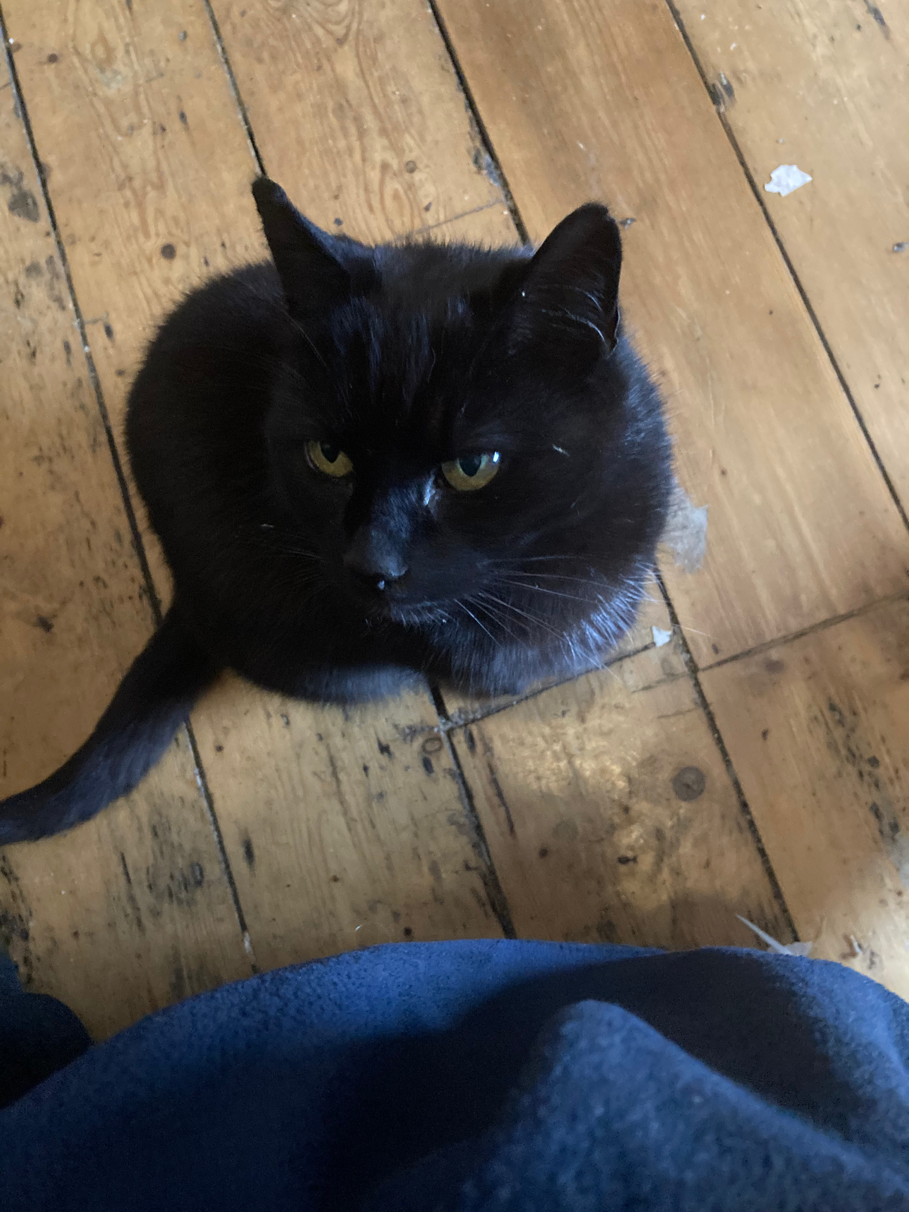 Mimi - Dalysfort Road, Galway