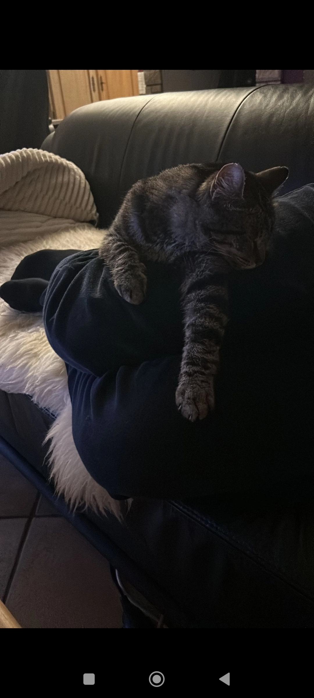 Oskar - Hauptstraße, Wuppertal