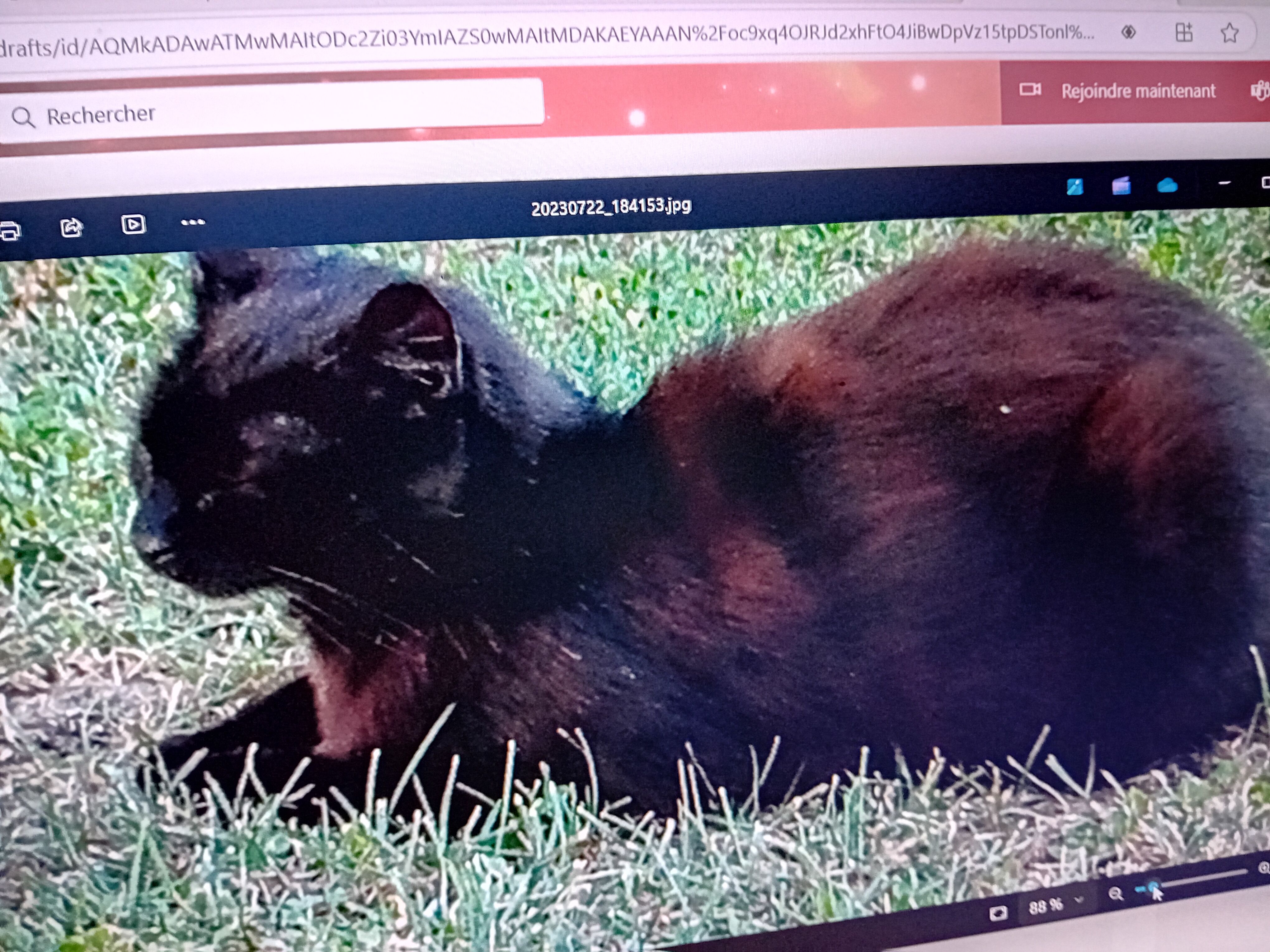 Timiné - 7 Rue du Stade, Nueil-sous-Faye