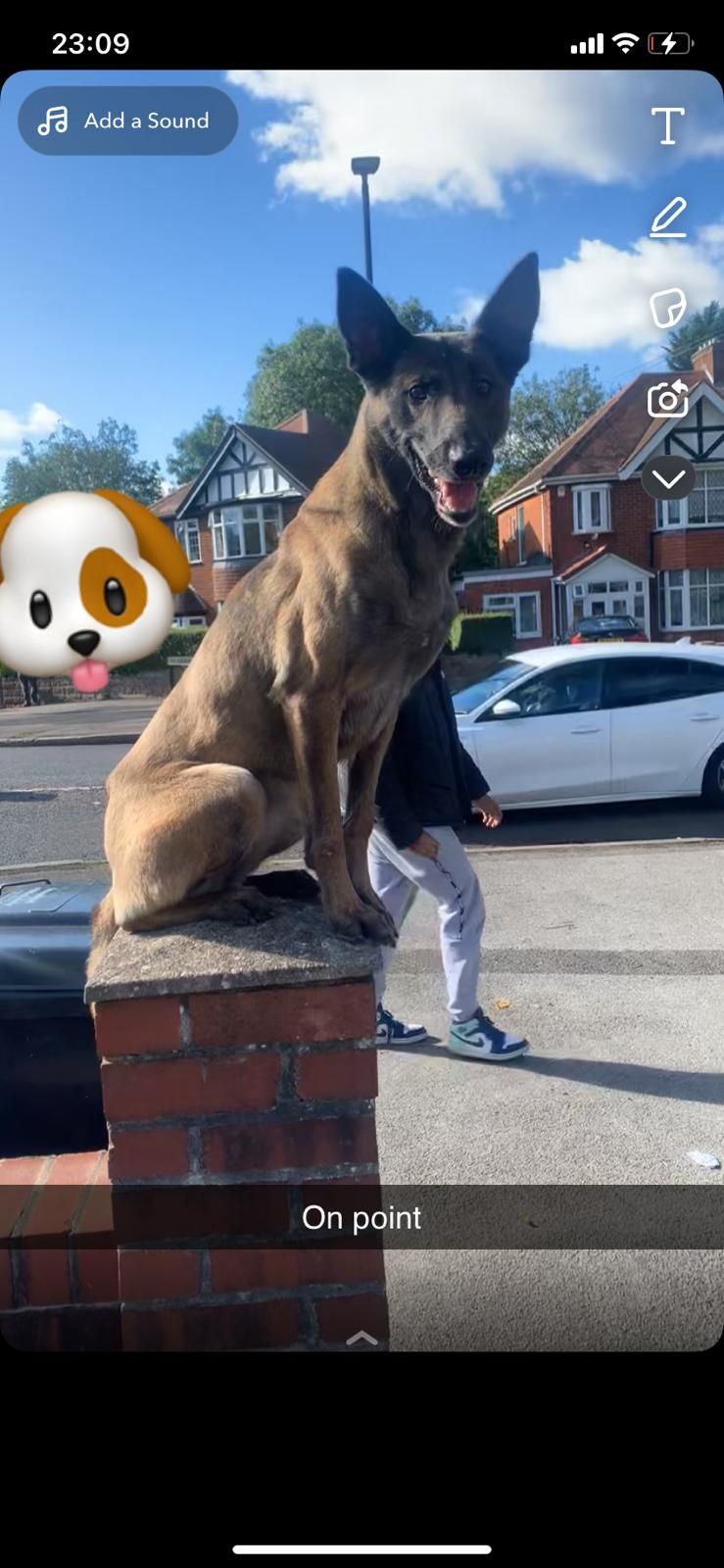 Kita - 391 Sarehole Road, Birmingham