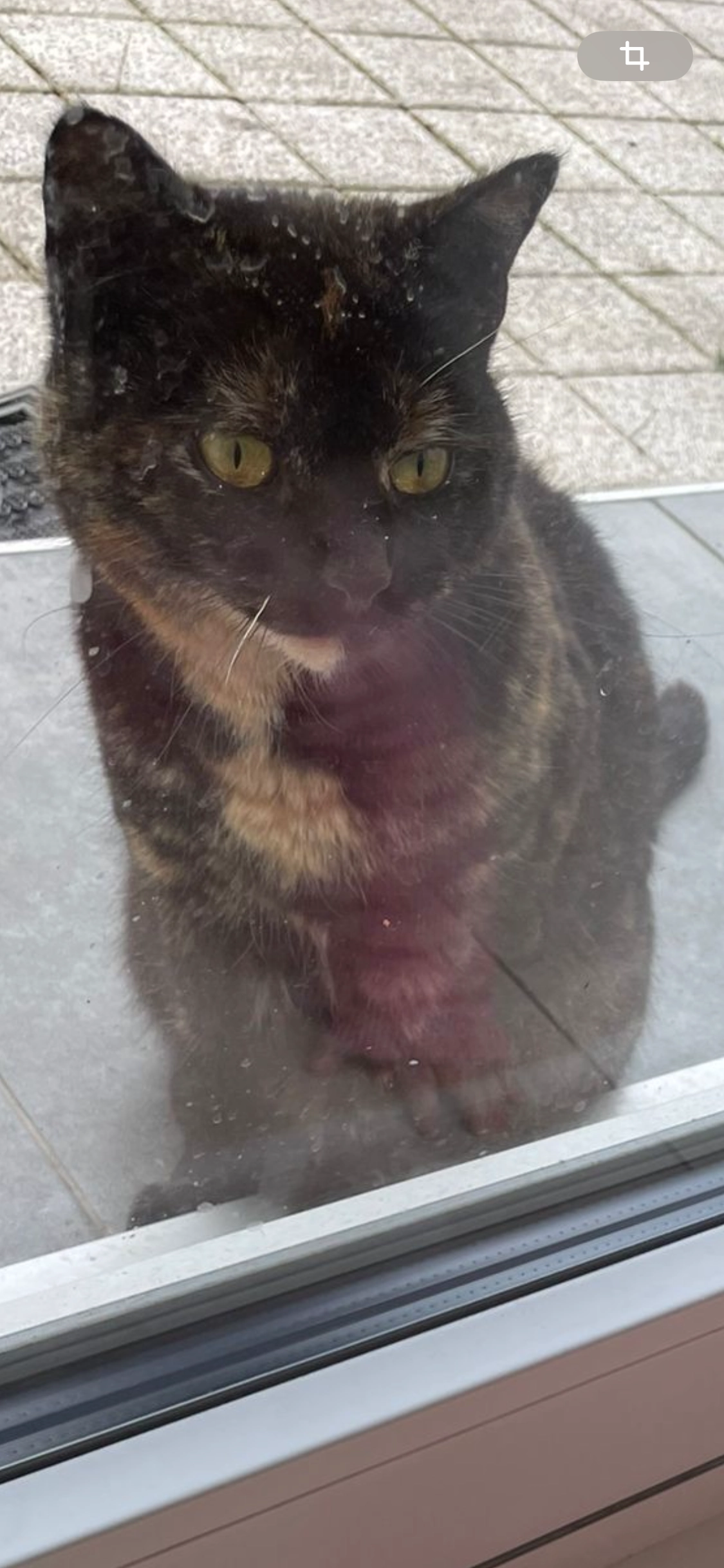 Snickers - Am Langen Bangert, Abtsteinach