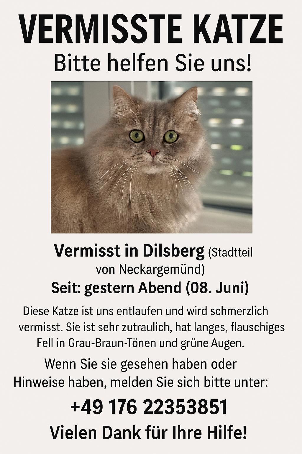 Belle  - Neuhofer Straße, Neckargemünd