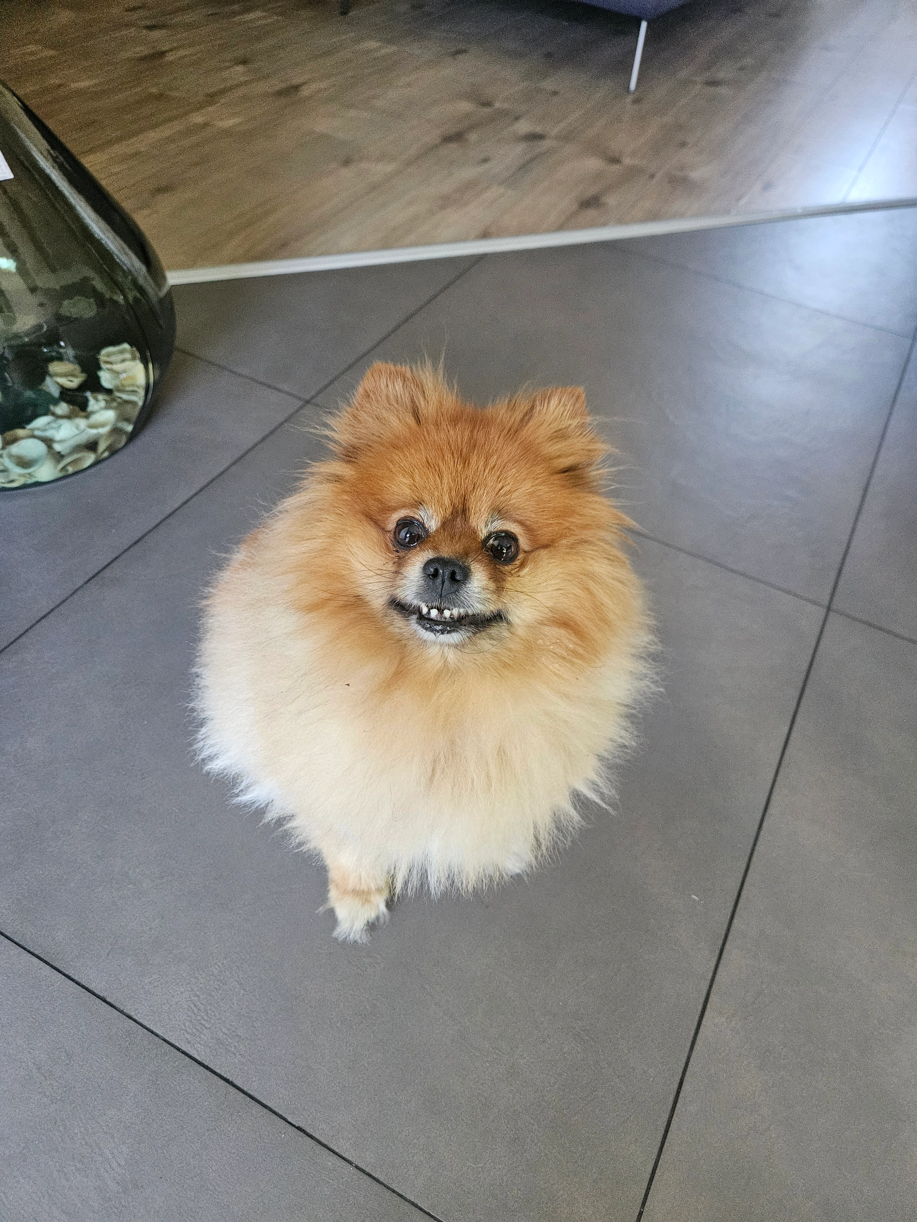 Nouba - 86 Avenue du Sers, Saint-Alban