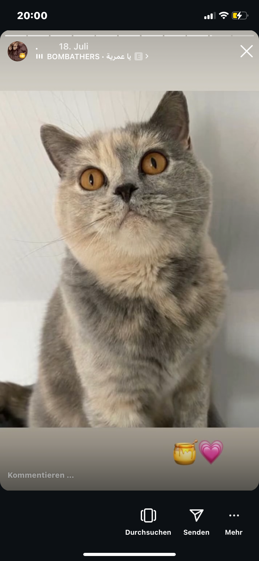 Hanni - Zum Holzhof, Bruchhausen-Vilsen