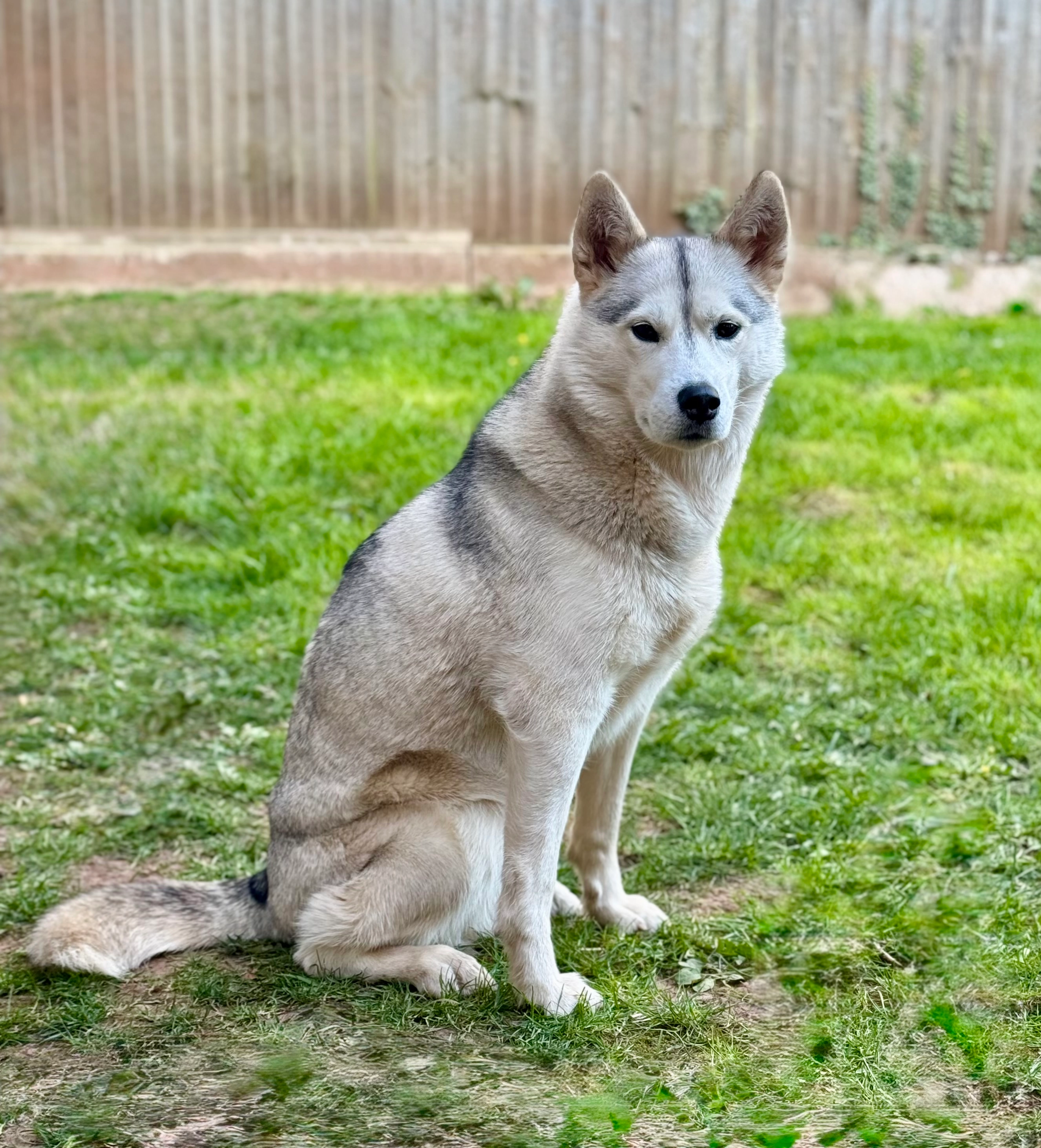 Joy - Long Lane, Nottingham