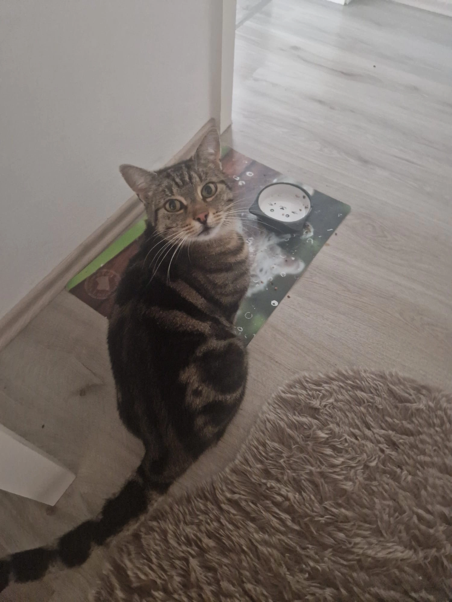 Semmy - Bürgermeister-Schottdorf-Straße, Oberthulba