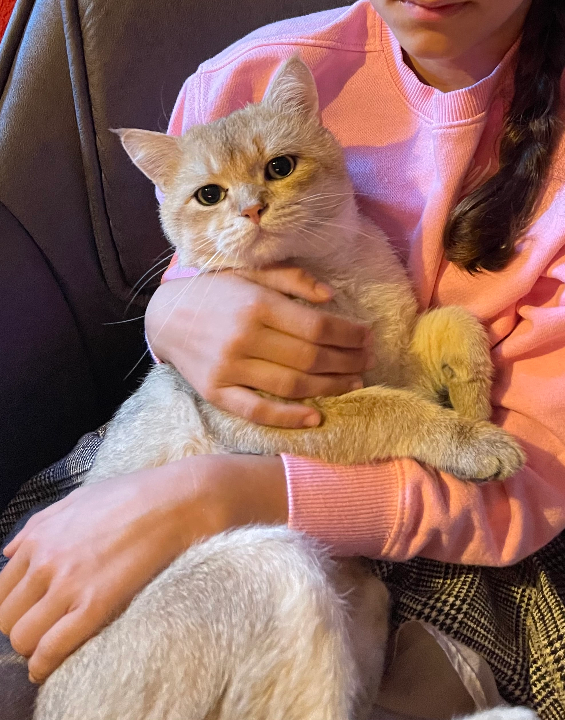 Simba - Ziegelstraße, Dillingen an der Donau