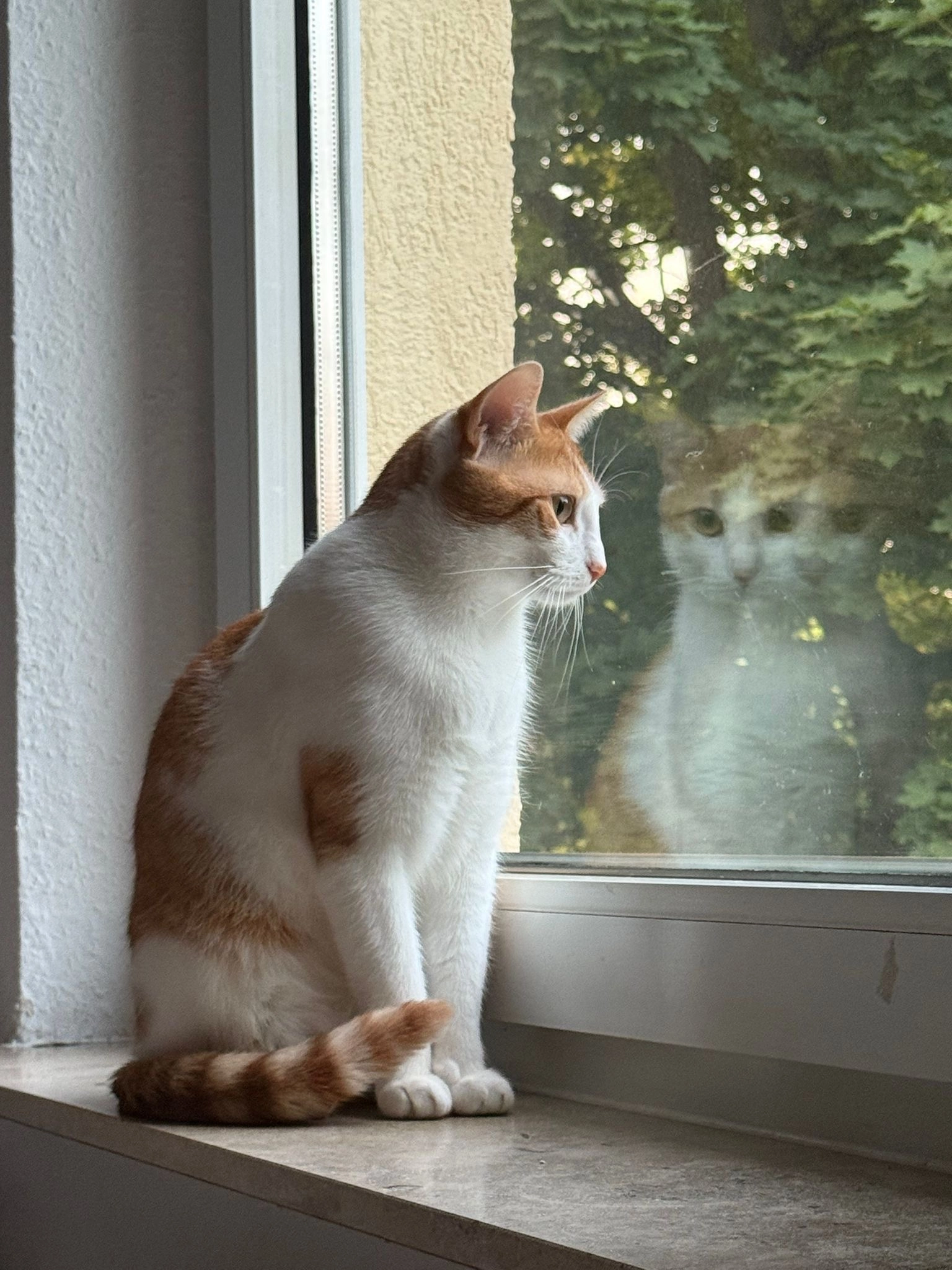 Poyraz - Oberkotzauer Straße, Hof