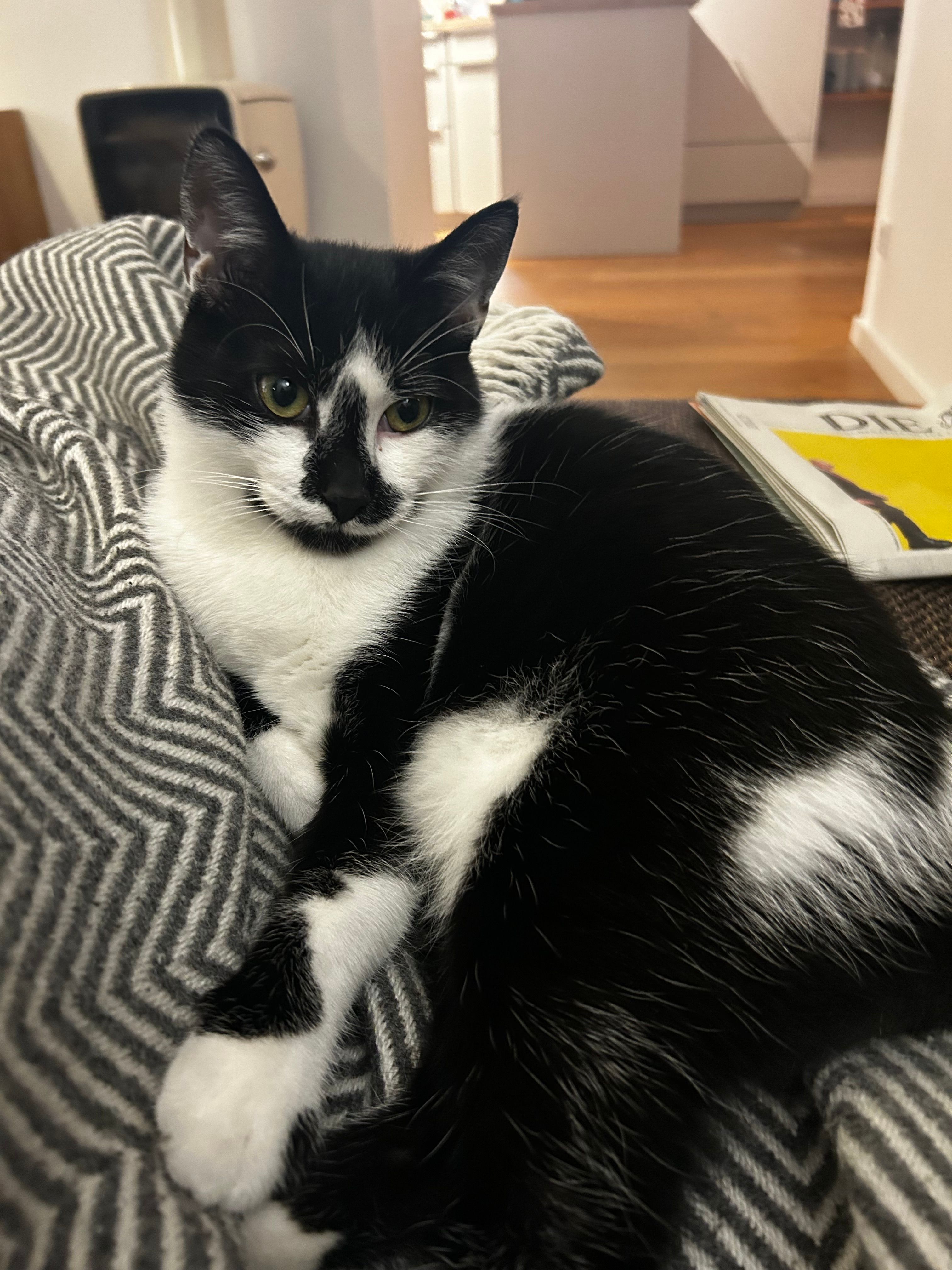 Fritzi - Talfeldstraße, Biberach an der Riß