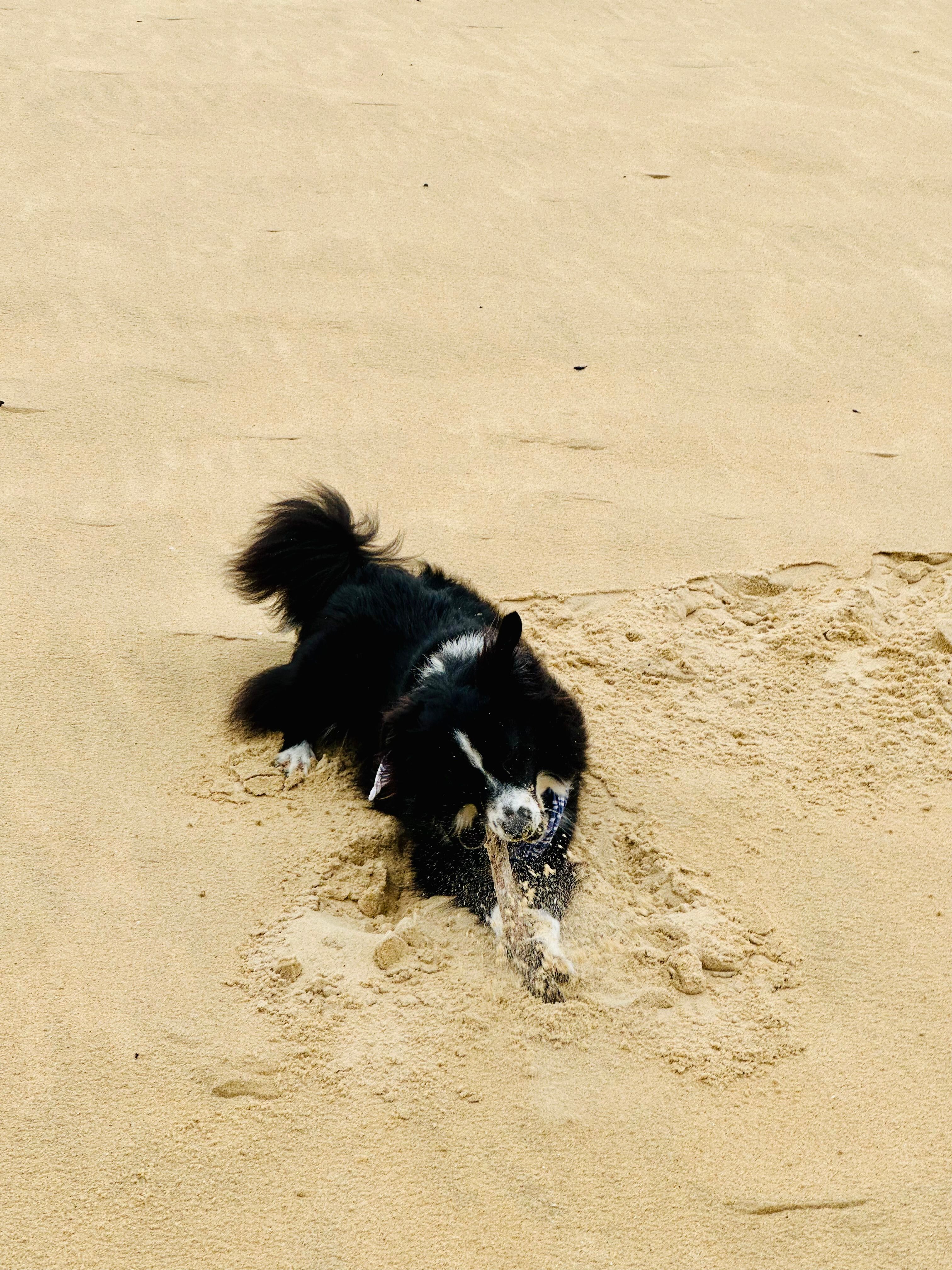 Kaxu se prononce cachou - Grand-Rue, Luxembourg