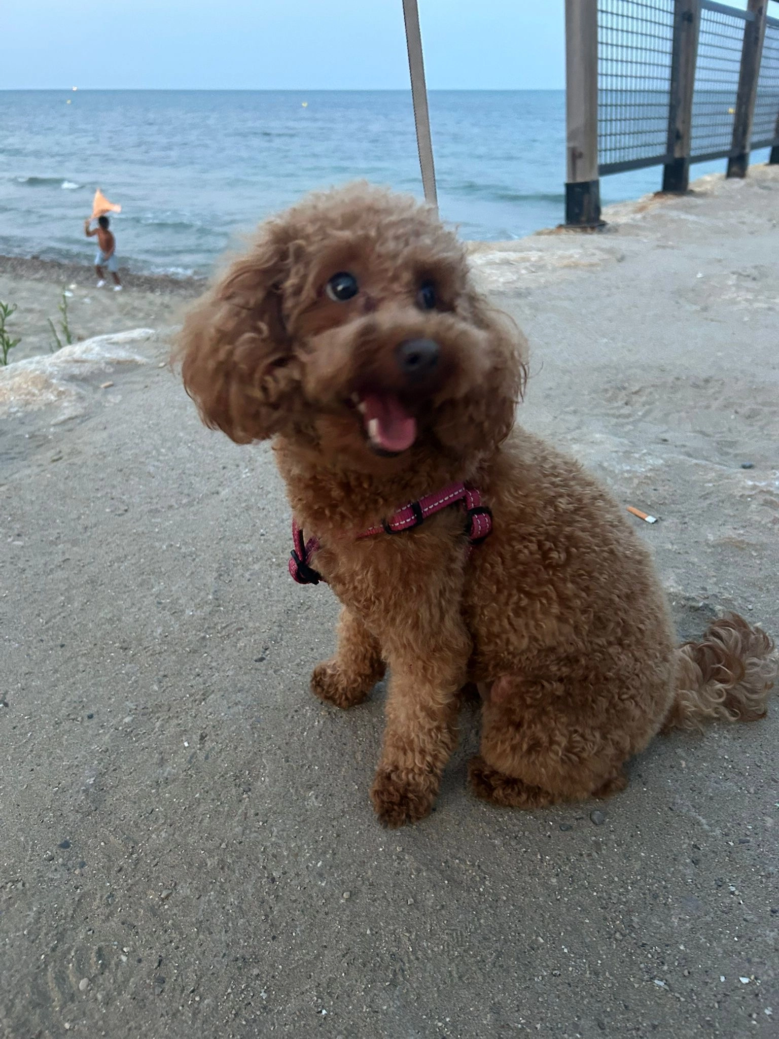 Nancy - Avenida de la Estación, Oropesa del Mar