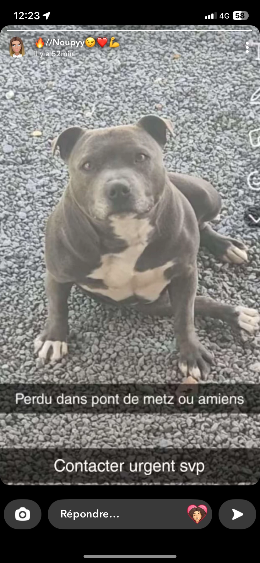 Laya - Rue André Georges, Pont-de-Metz