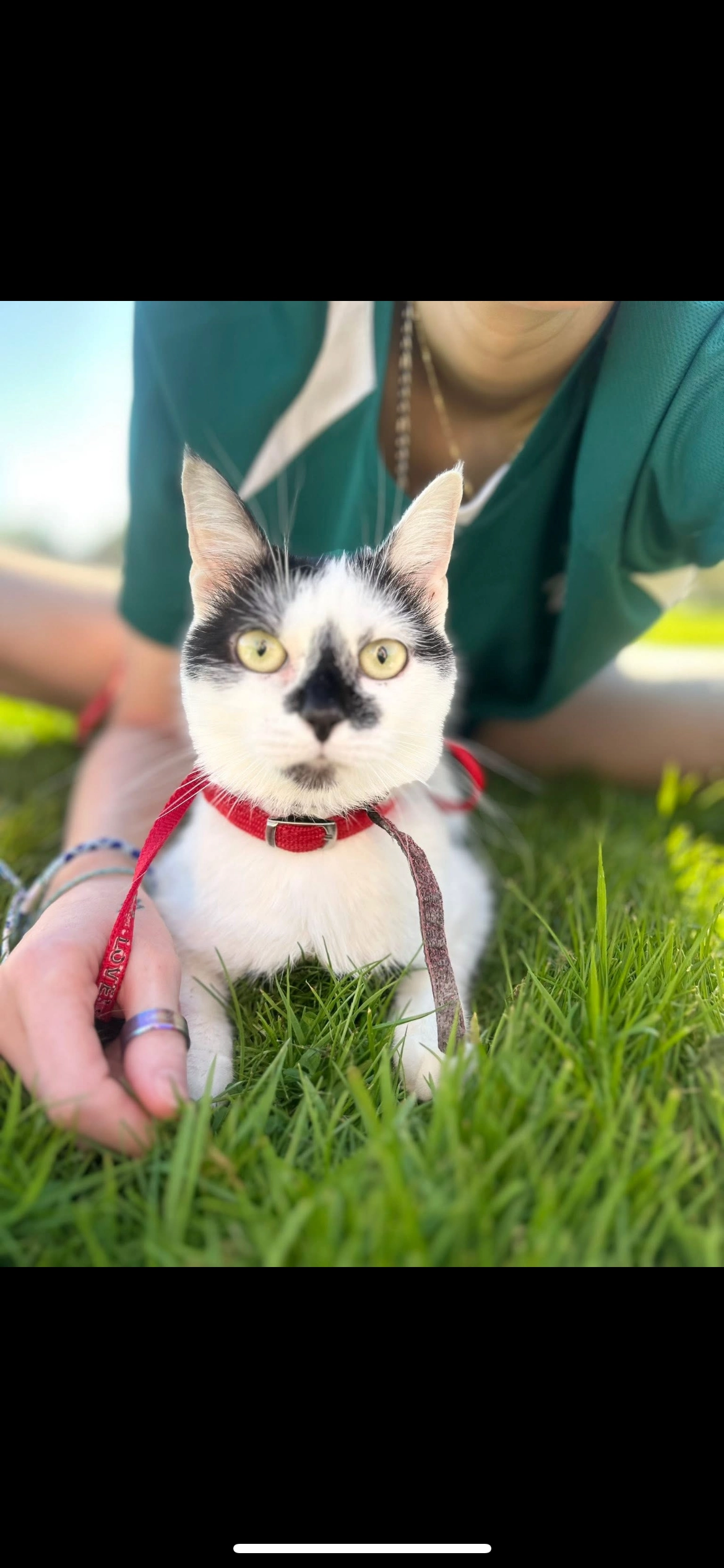 Yüna - Rue Du Chantejot, Issoudun