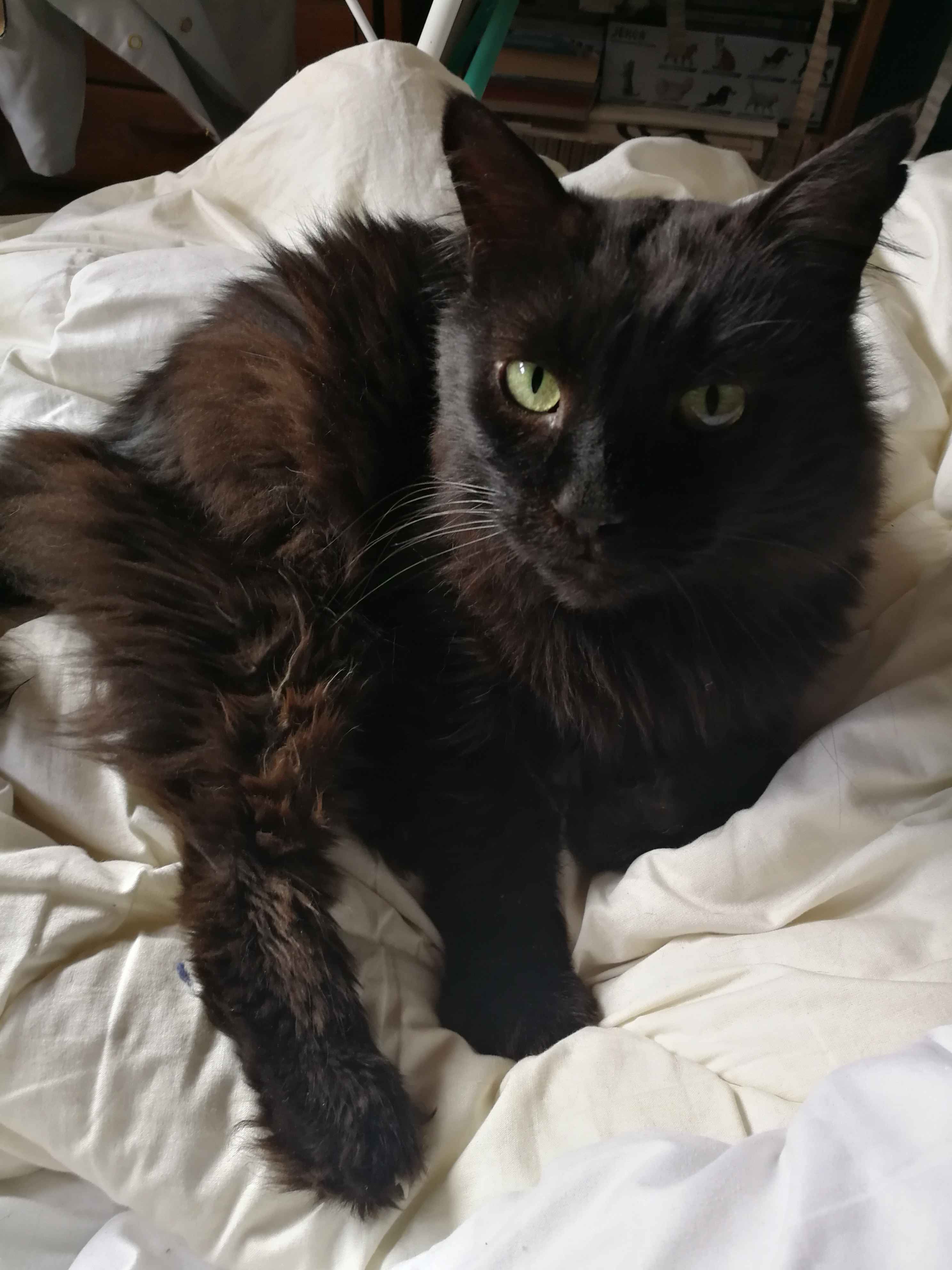 Lee - Rue de la Forêt, Niederbronn-les-Bains