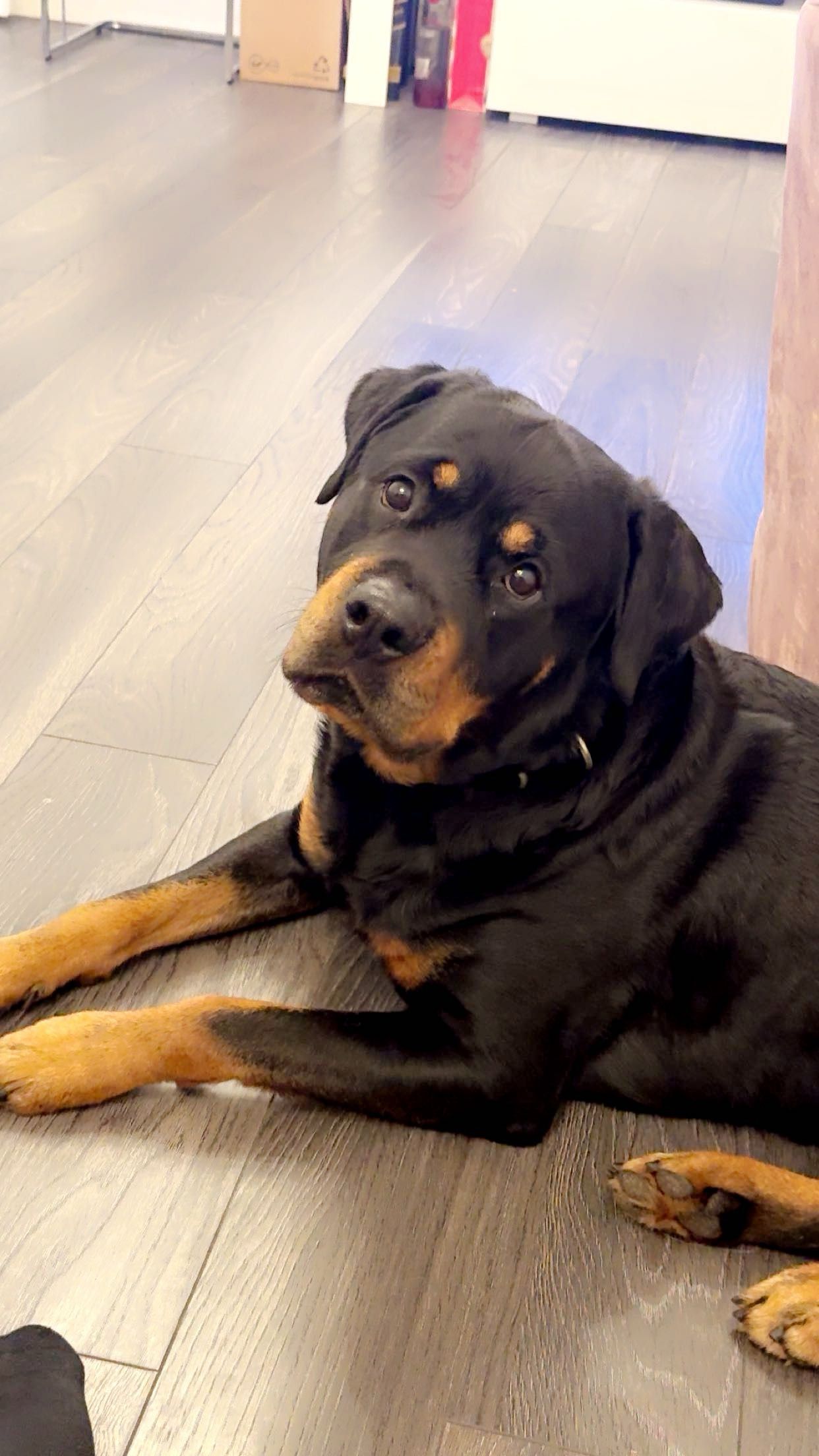 Bentley - Woodthorpe Road, Ashford