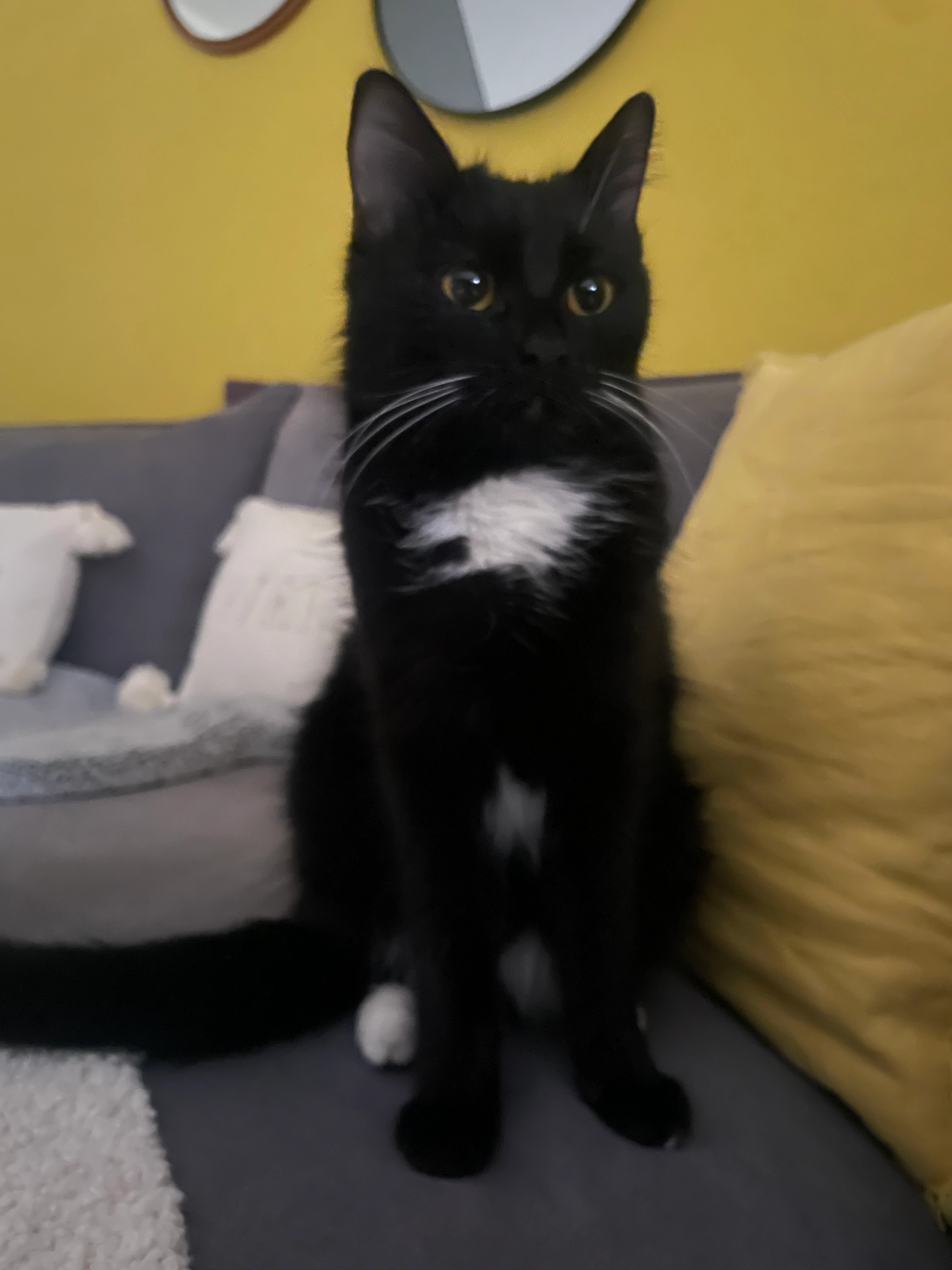 Minik  - Im See, Schwäbisch Hall