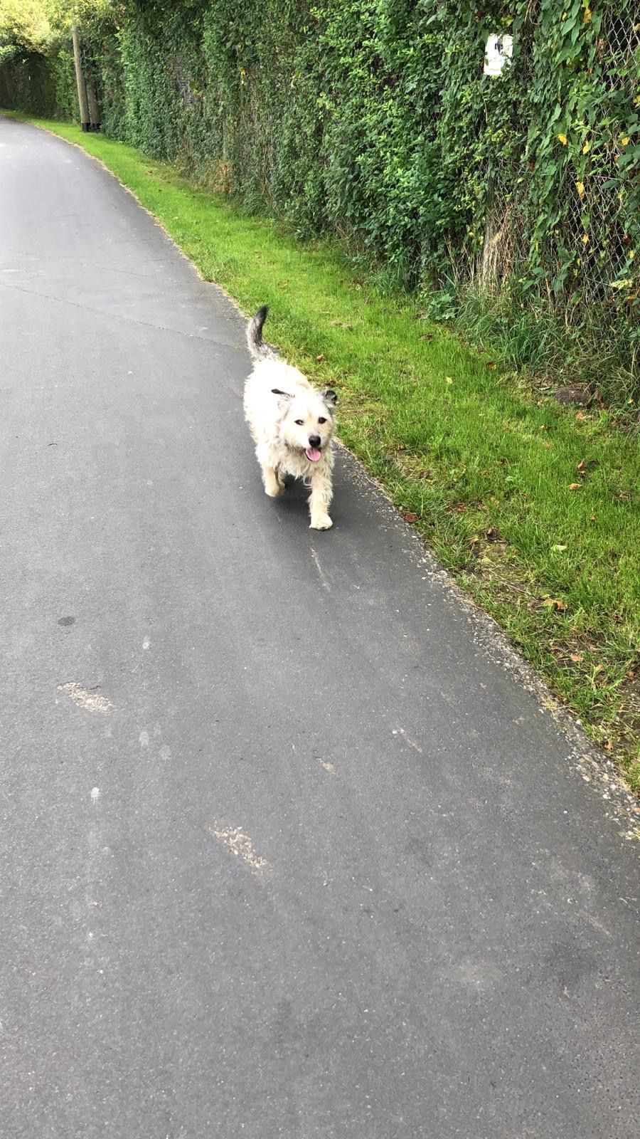 Max - Hauptweg, Meerbusch