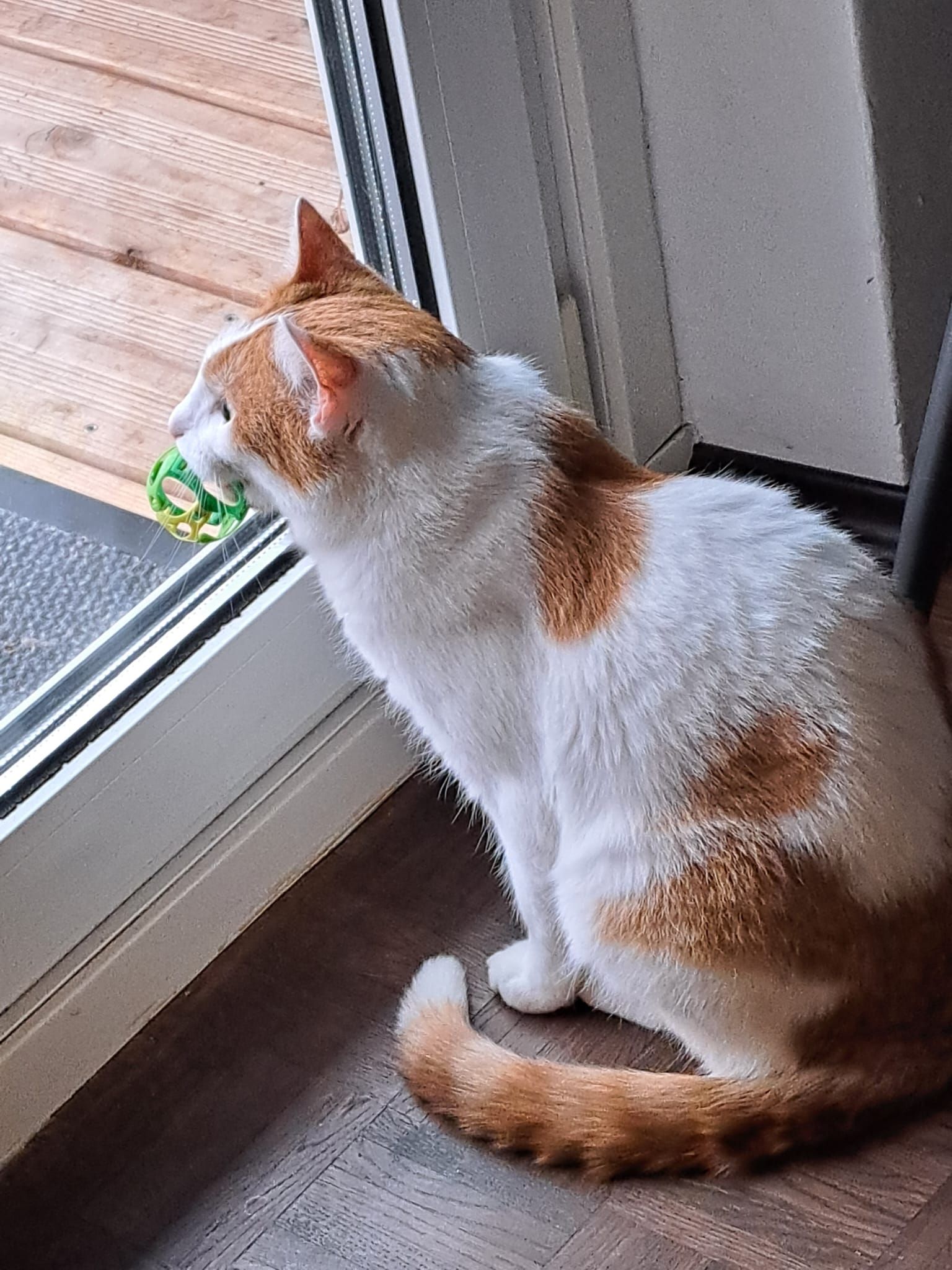 Ron - Schönbichlweg 32, Sankt Johann in Tirol