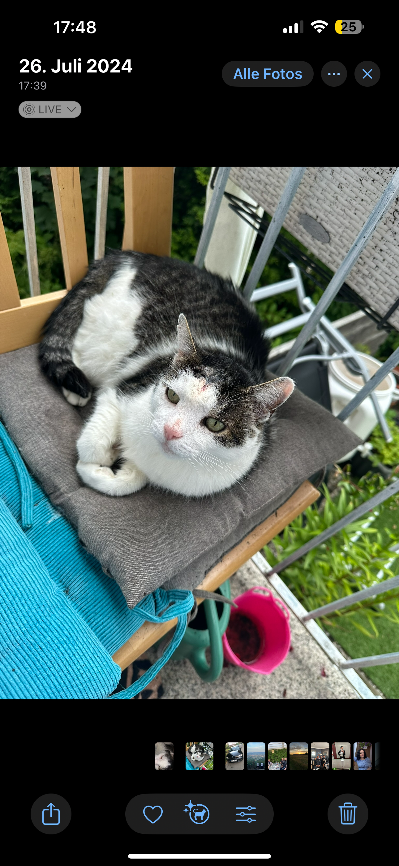 Mauzi - Ferdinand-Thomas-Weg, Braunlage