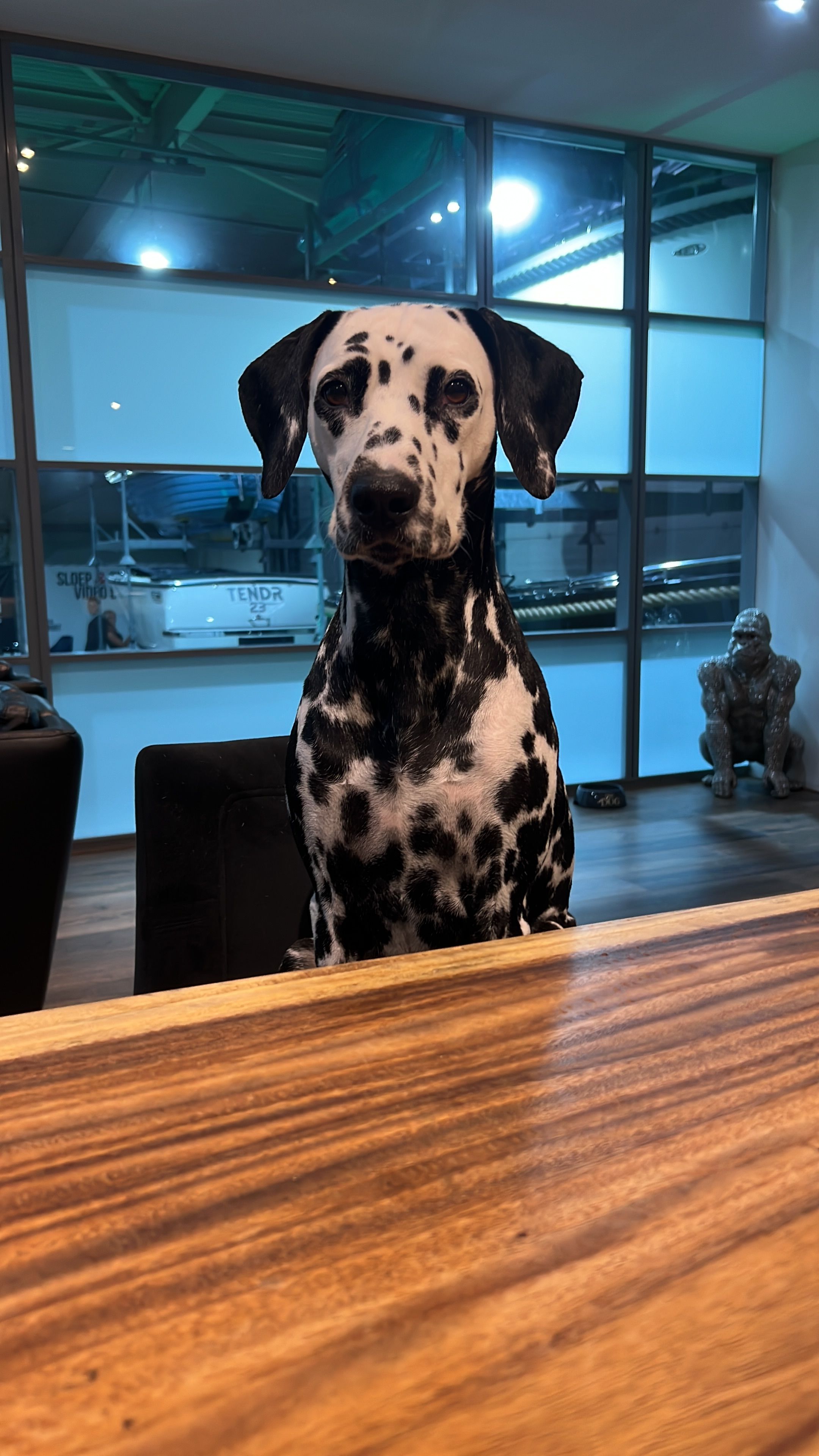 SpeZZ - Herenweg, Rijnsaterwoude