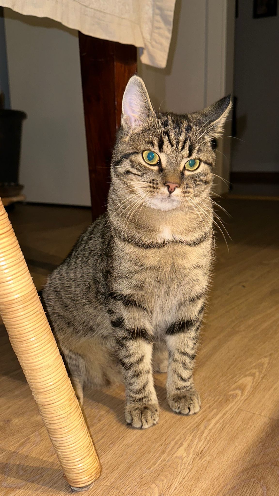 Bobo - Bartlegroschstrasse, Vaduz