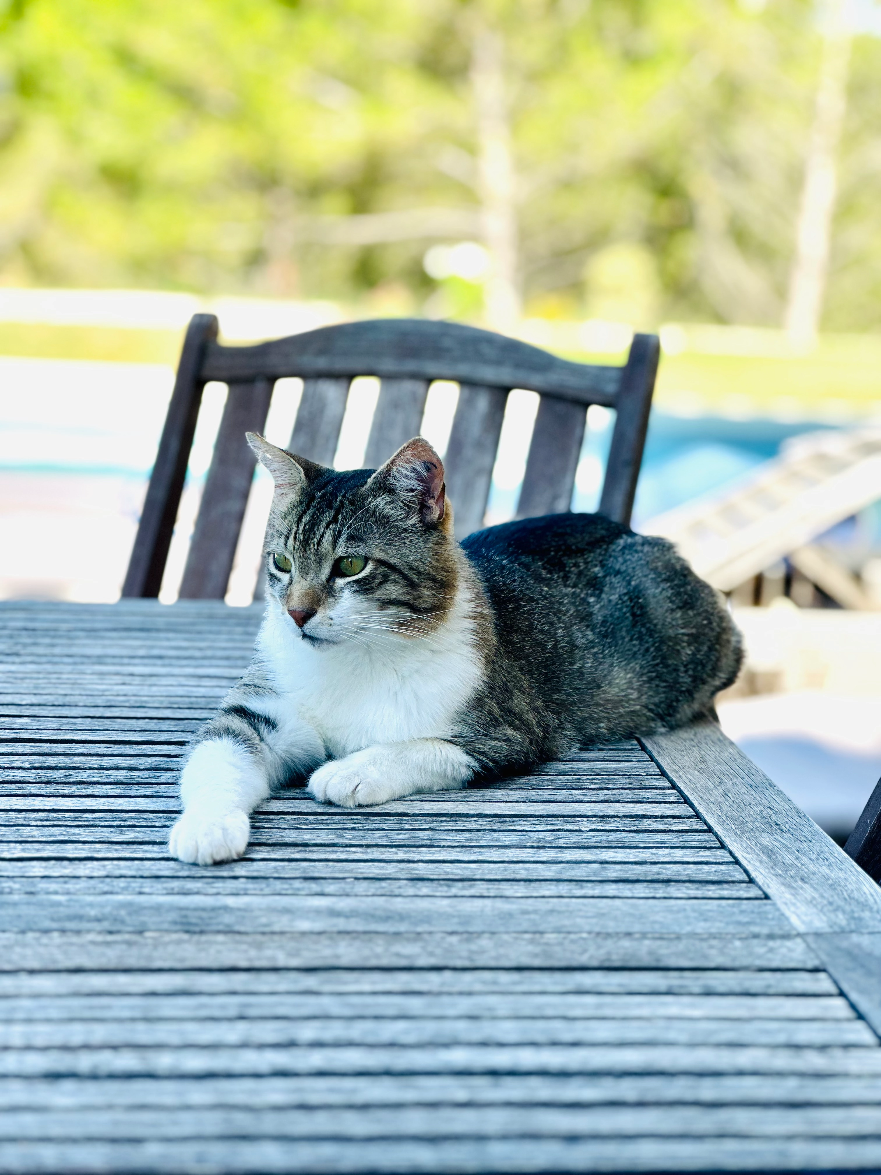 Héros - Route de Coudoux, Lambesc