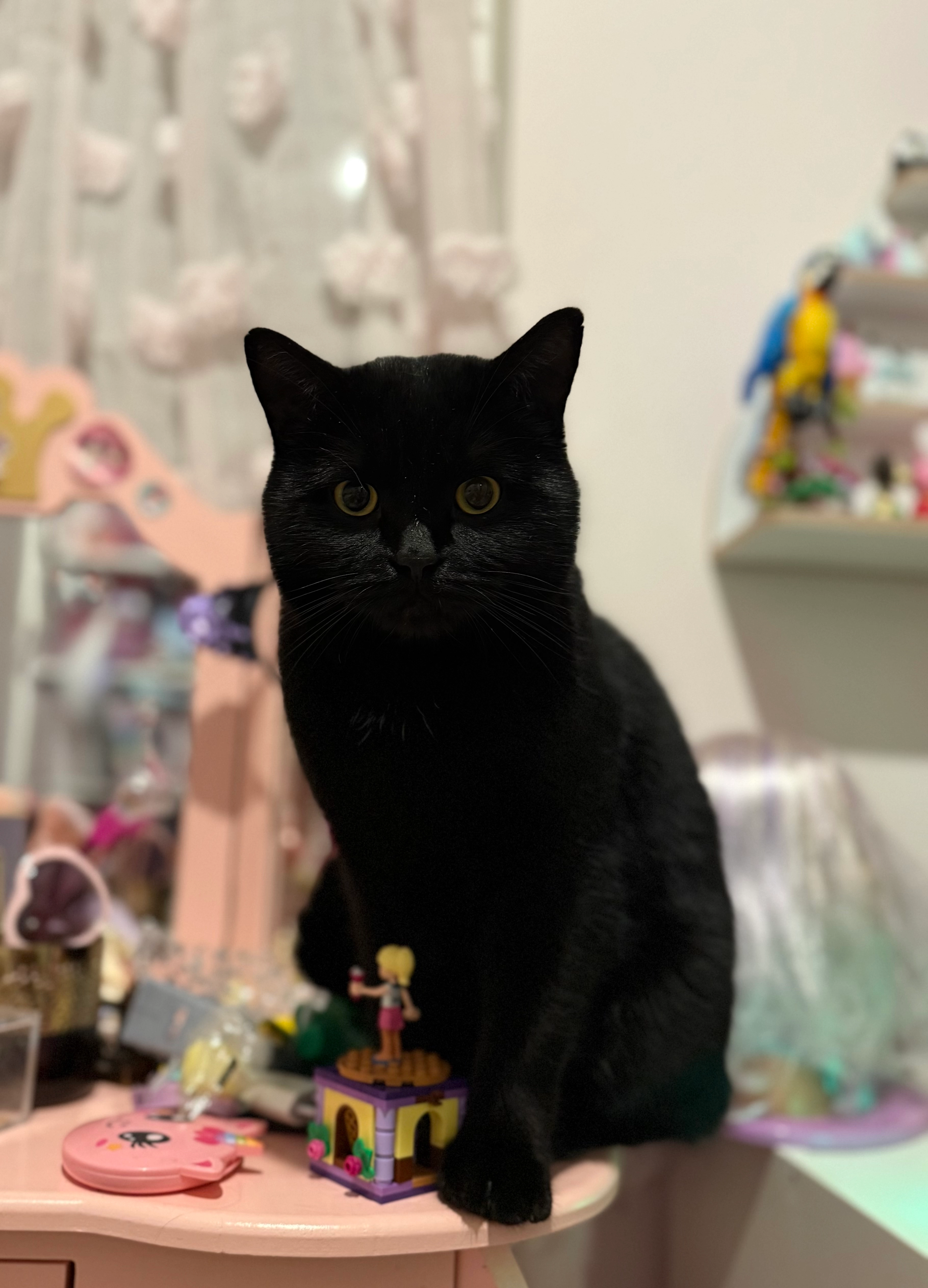 Henry - Steinstraße, Aurachtal