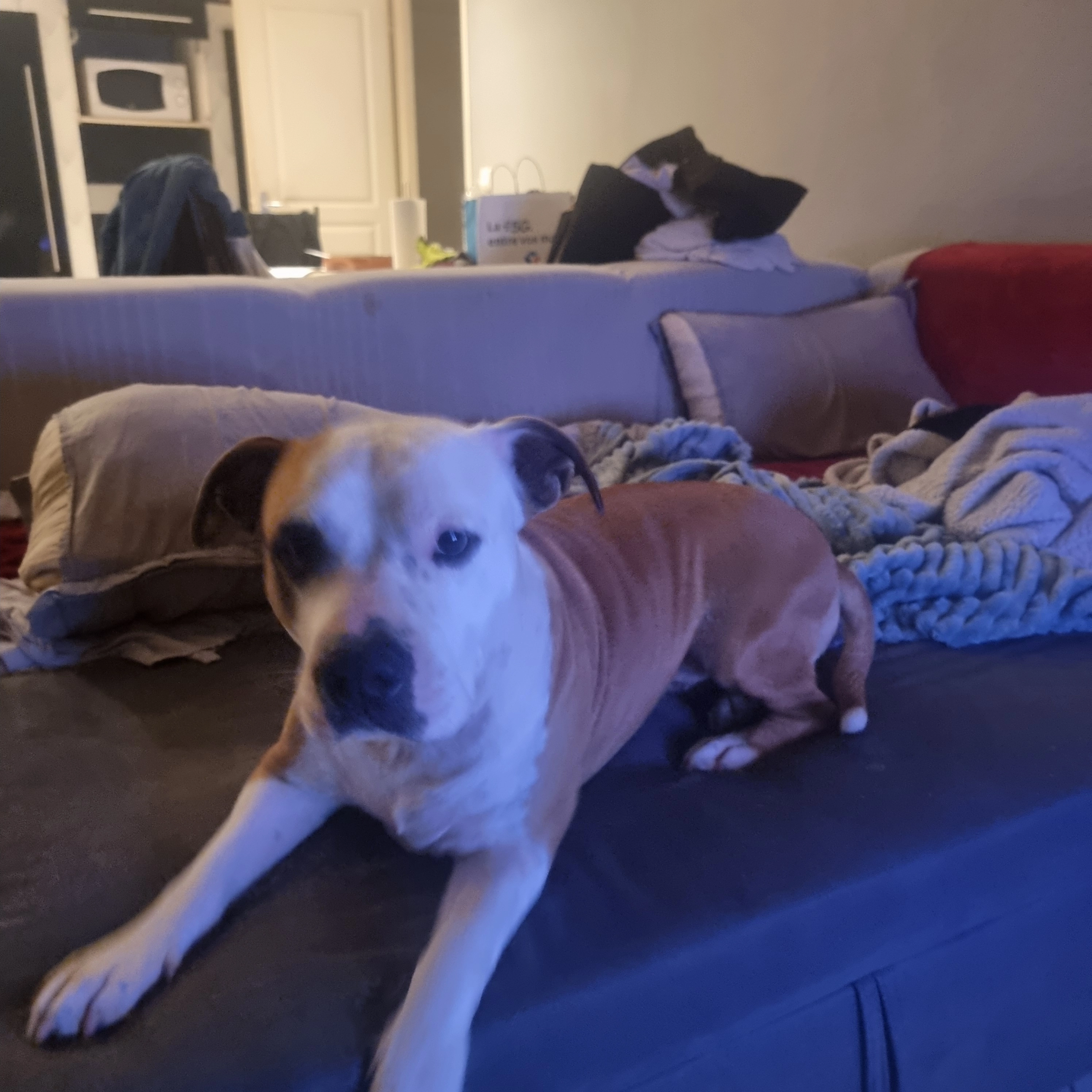 Sky  - Chemin Des Gravas, Saint-Loubès