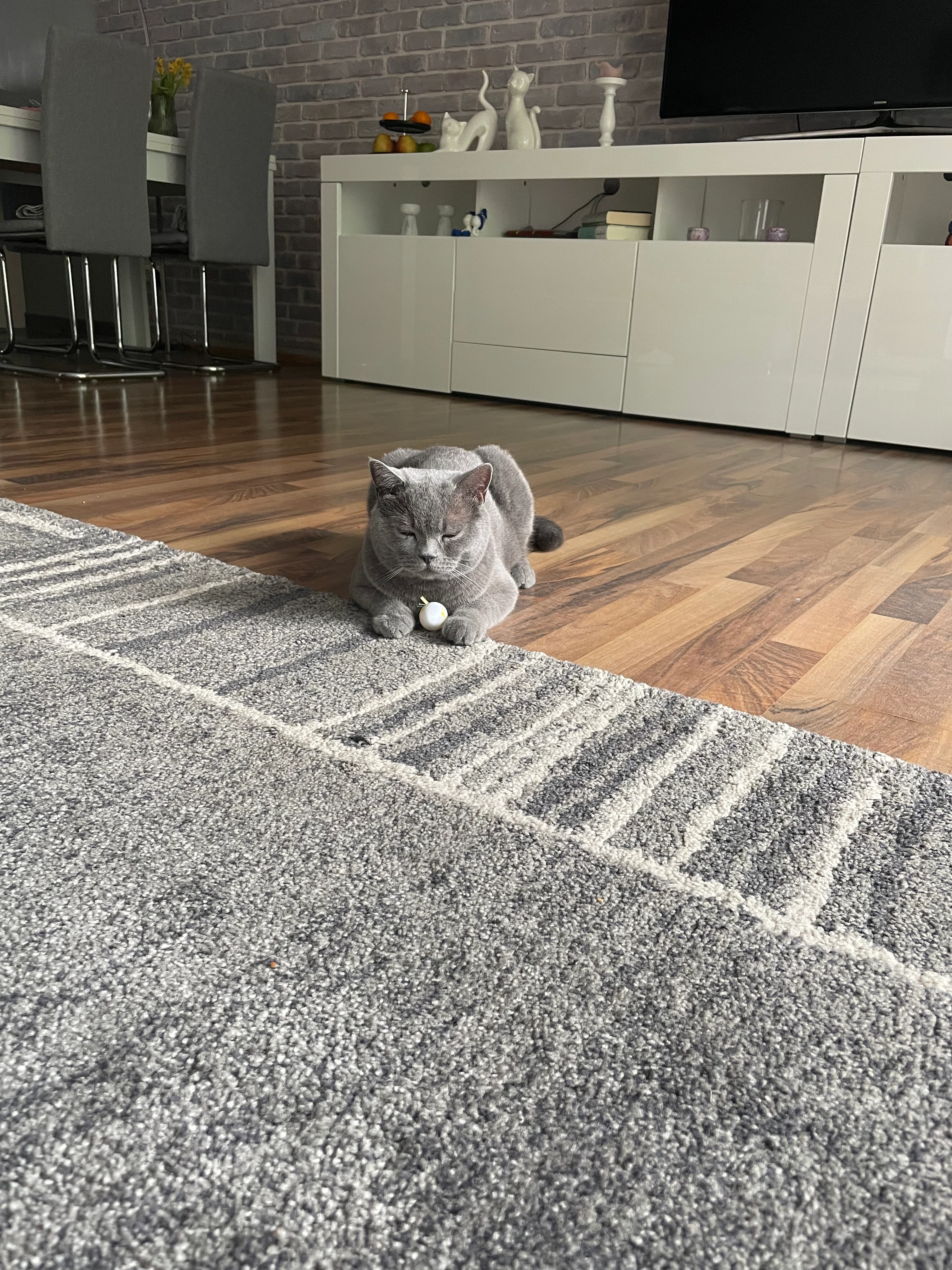 Ernie - 13089, Berlin