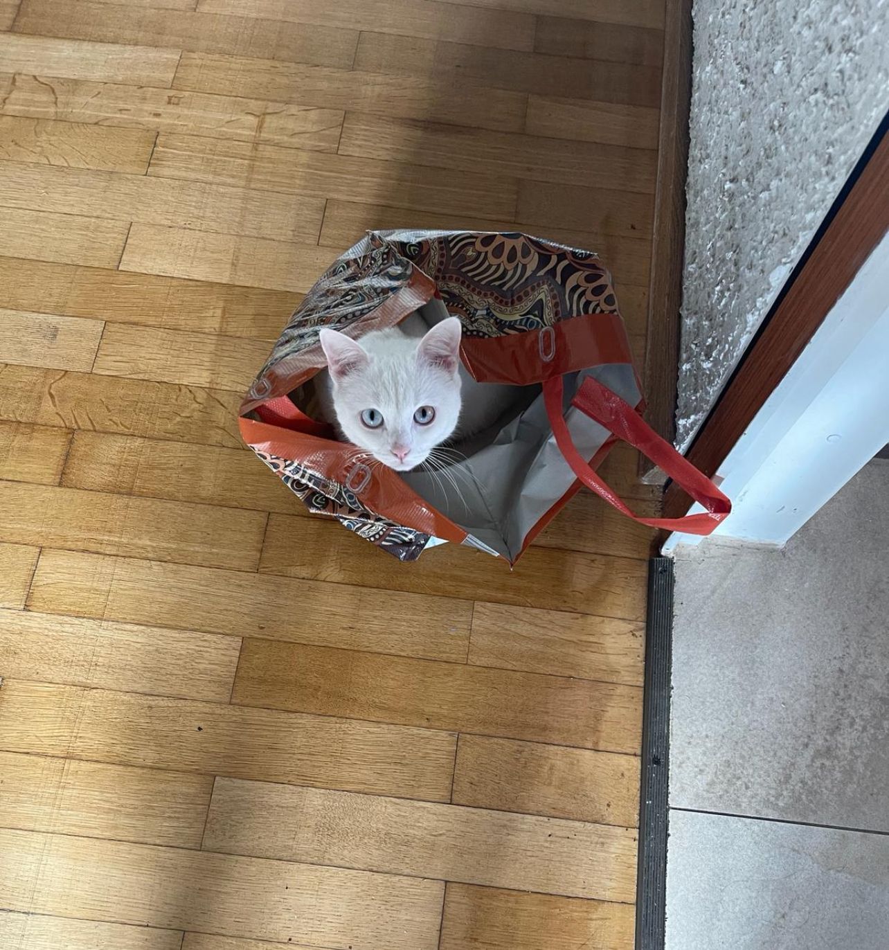 Mithi - Friedensstraße , Lebach